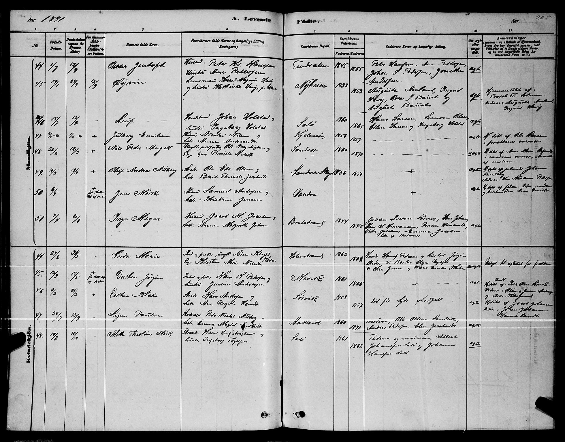 Ministerialprotokoller, klokkerbøker og fødselsregistre - Nordland, AV/SAT-A-1459/834/L0513: Parish register (copy) no. 834C04, 1877-1892, p. 205