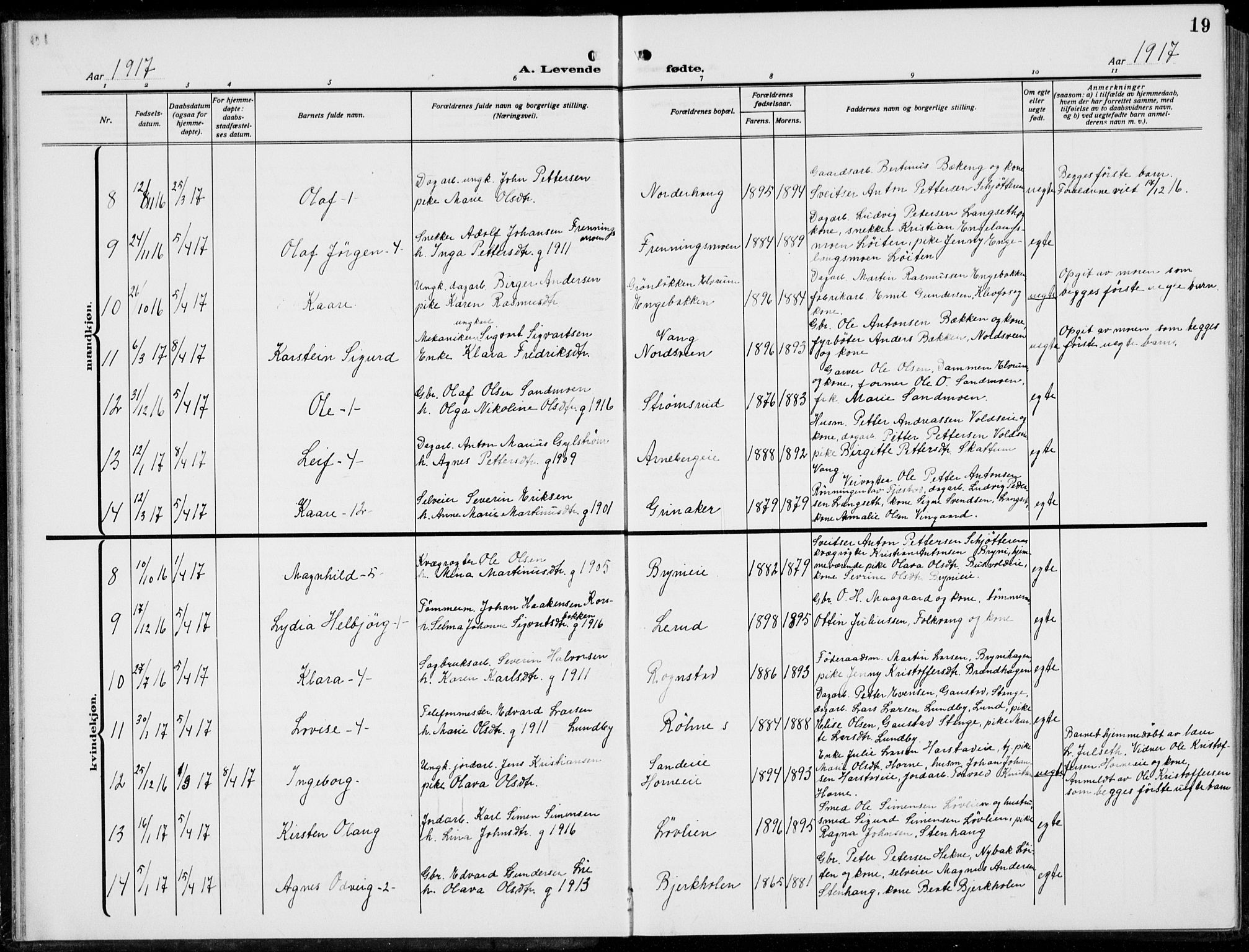 Romedal prestekontor, AV/SAH-PREST-004/L/L0014: Parish register (copy) no. 14, 1915-1939, p. 19