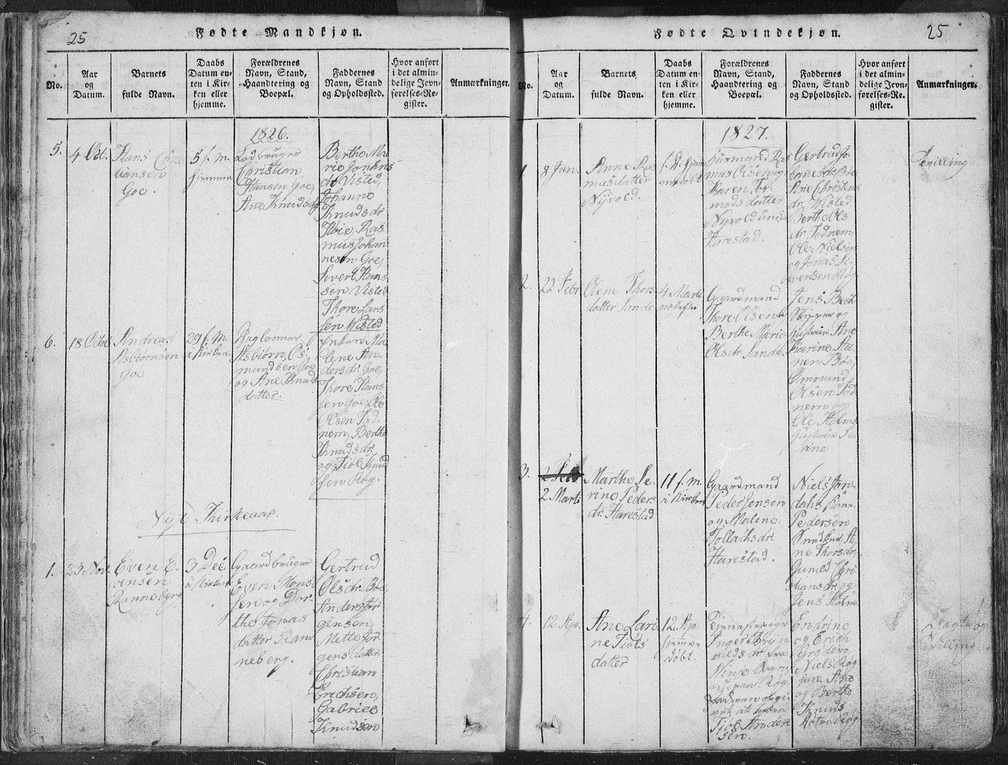 Hetland sokneprestkontor, SAST/A-101826/30/30BA/L0001: Parish register (official) no. A 1, 1816-1856, p. 25