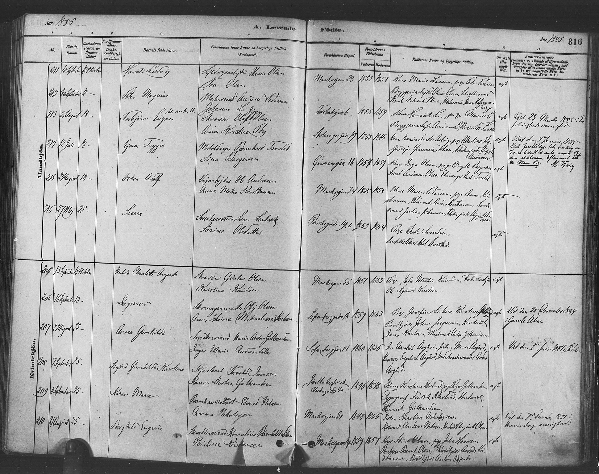 Paulus prestekontor Kirkebøker, AV/SAO-A-10871/F/Fa/L0003: Parish register (official) no. 3, 1879-1887, p. 316