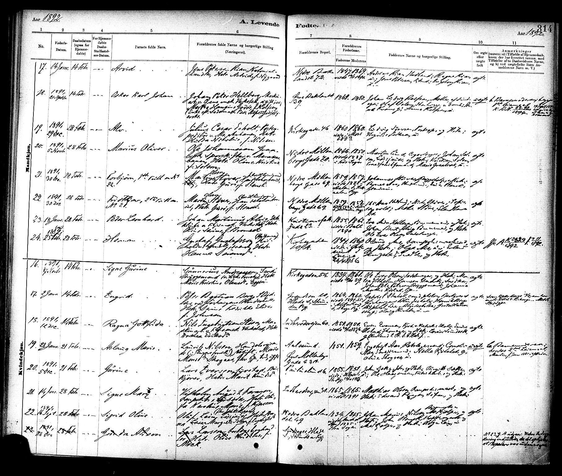 Ministerialprotokoller, klokkerbøker og fødselsregistre - Sør-Trøndelag, AV/SAT-A-1456/604/L0188: Parish register (official) no. 604A09, 1878-1892, p. 314