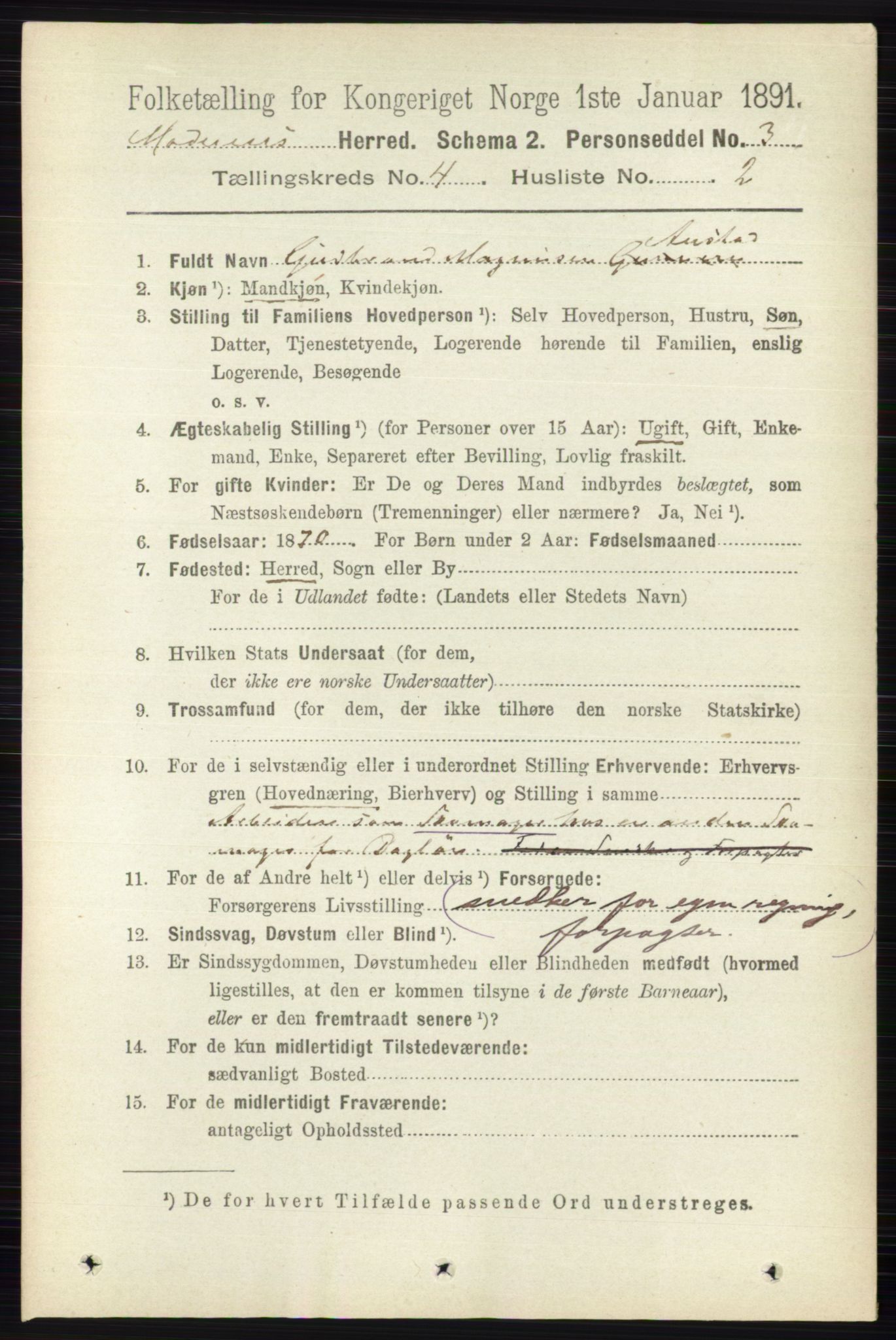 RA, 1891 census for 0623 Modum, 1891, p. 995