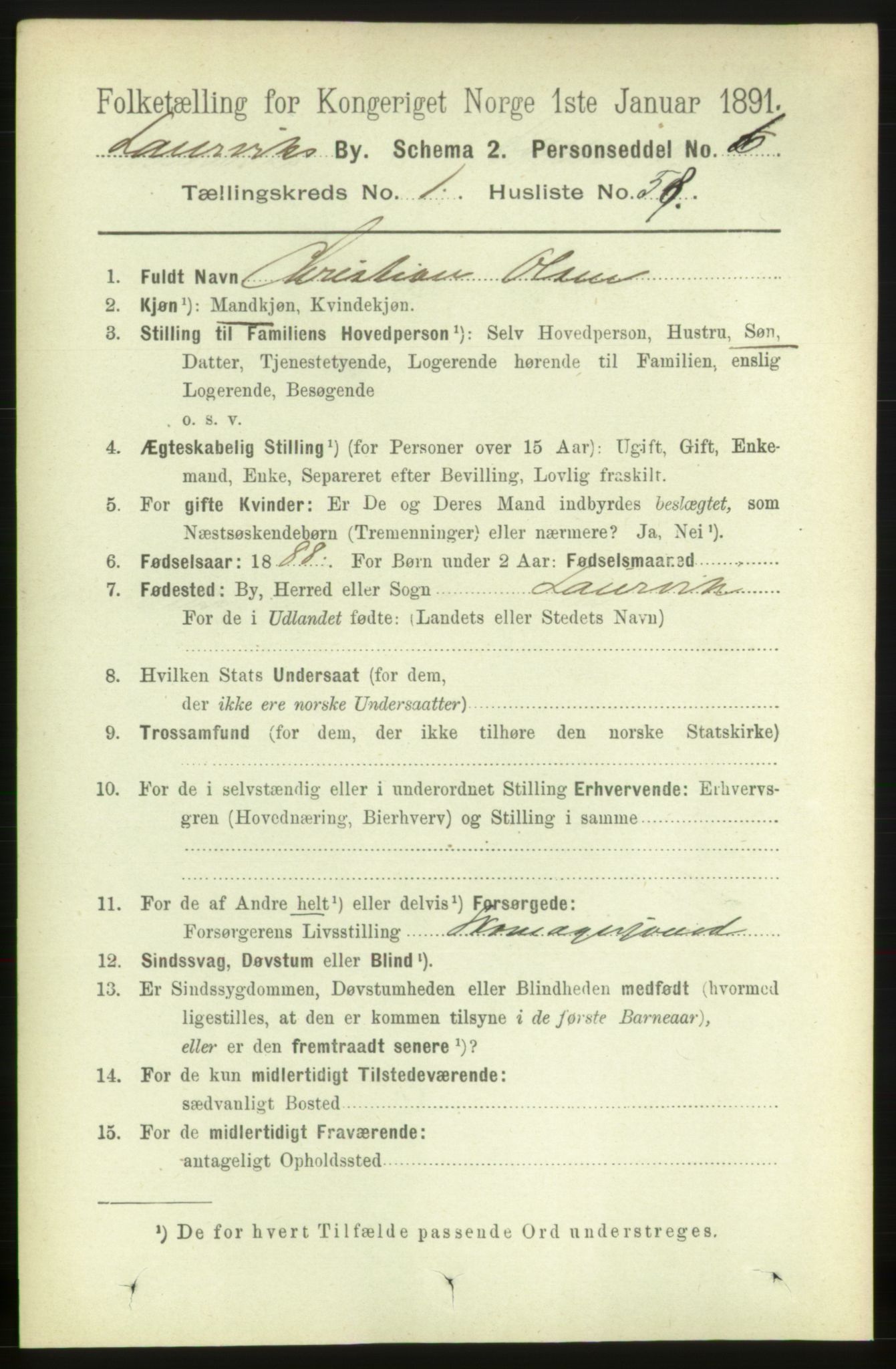 RA, 1891 census for 0707 Larvik, 1891, p. 3013