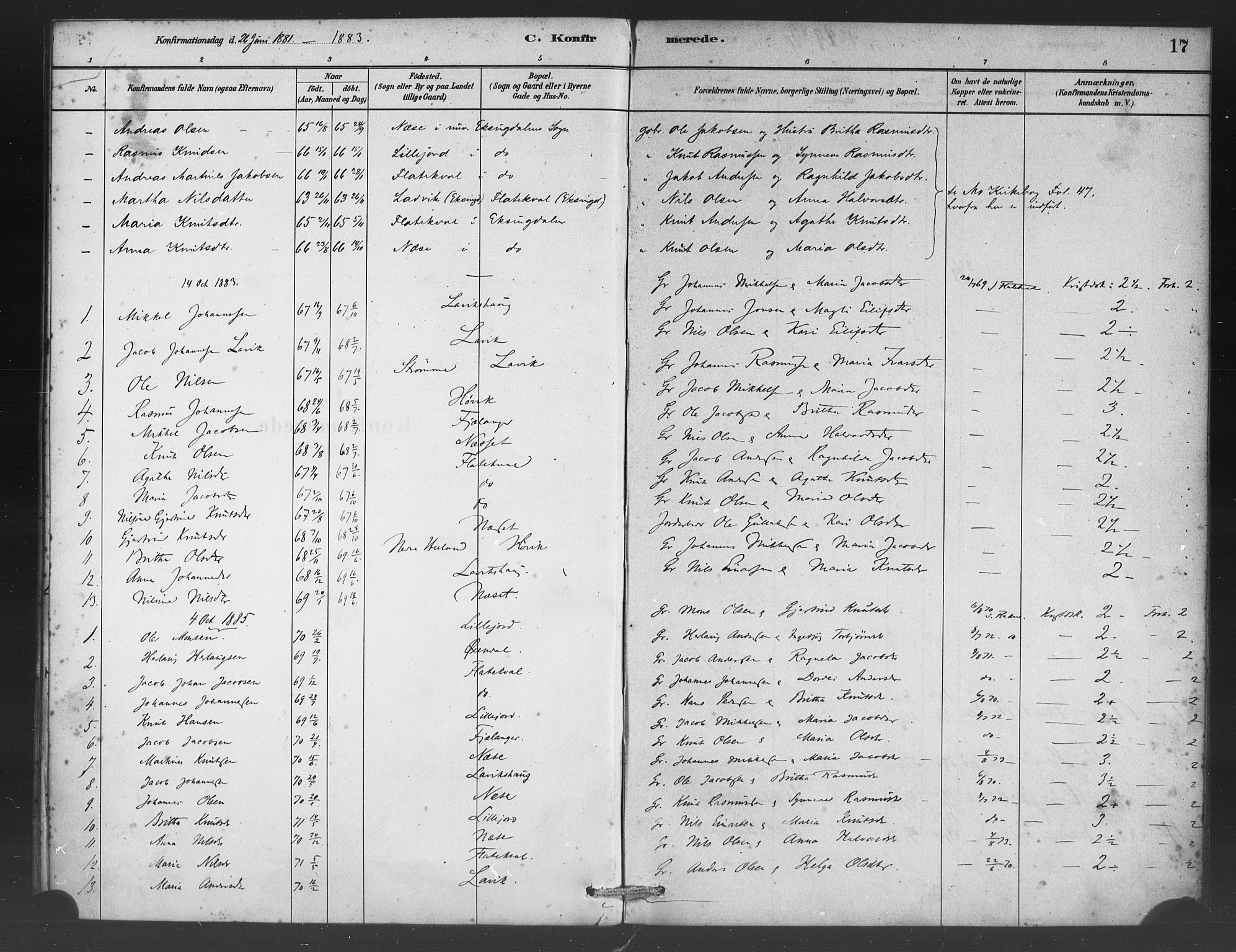 Vaksdal Sokneprestembete, AV/SAB-A-78901/H/Haa: Parish register (official) no. C 1, 1881-1900, p. 17