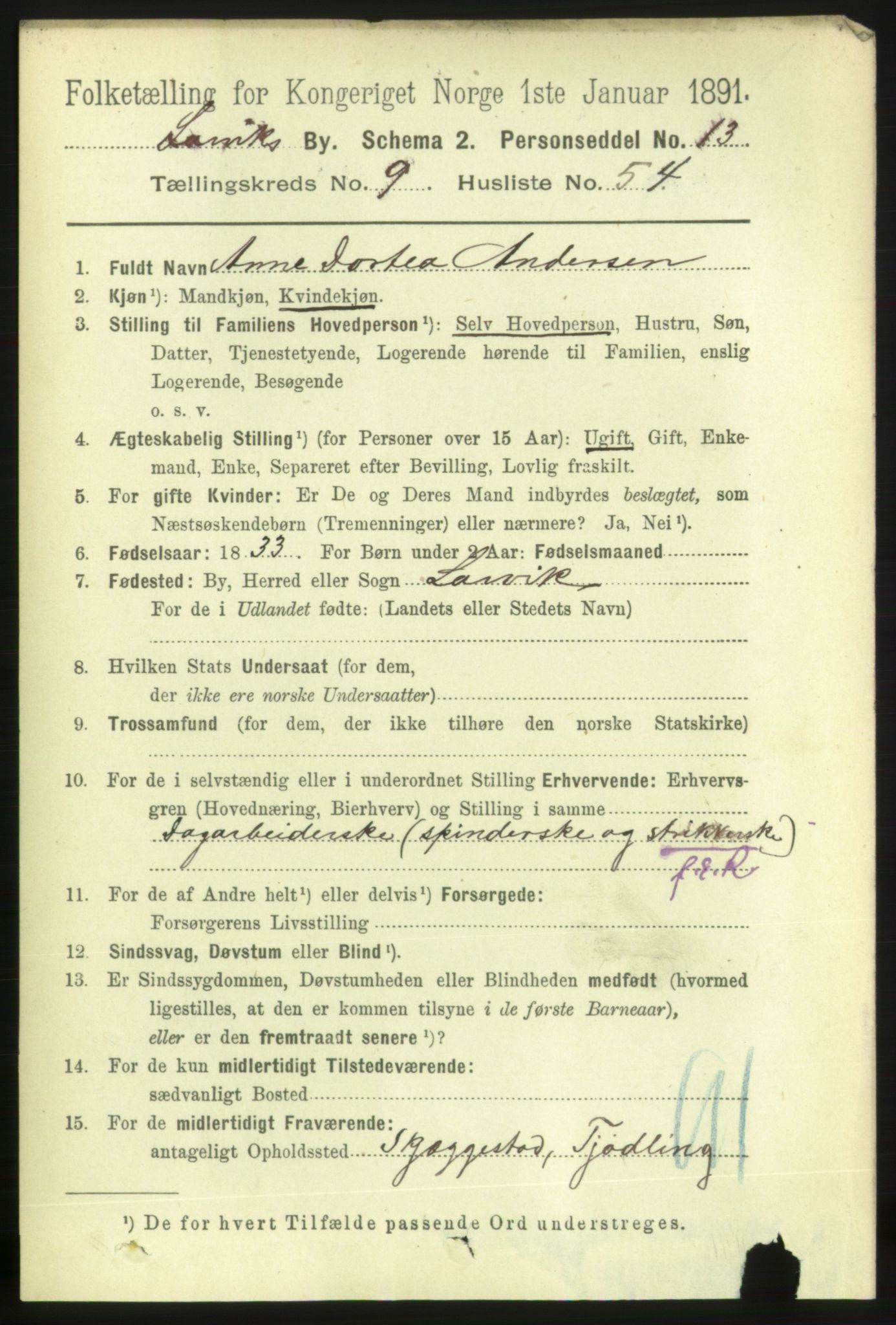 RA, 1891 census for 0707 Larvik, 1891, p. 9067