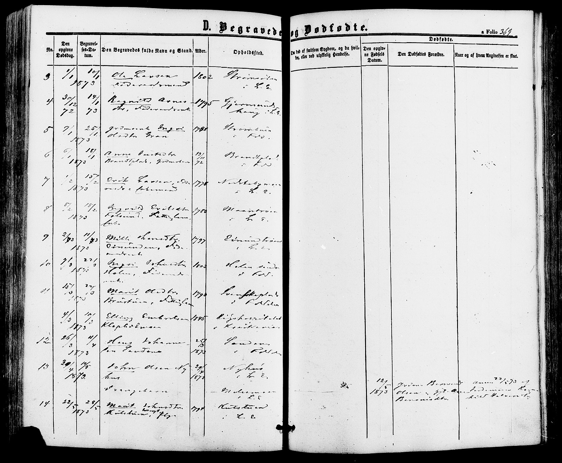 Alvdal prestekontor, AV/SAH-PREST-060/H/Ha/Haa/L0001: Parish register (official) no. 1, 1863-1882, p. 369