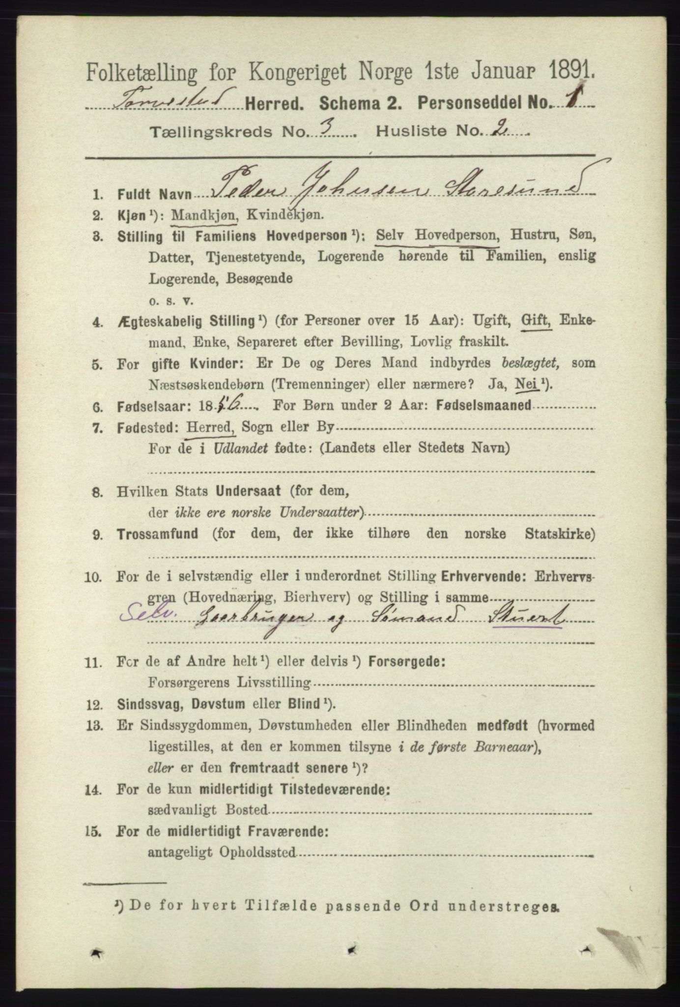 RA, 1891 census for 1152 Torvastad, 1891, p. 955