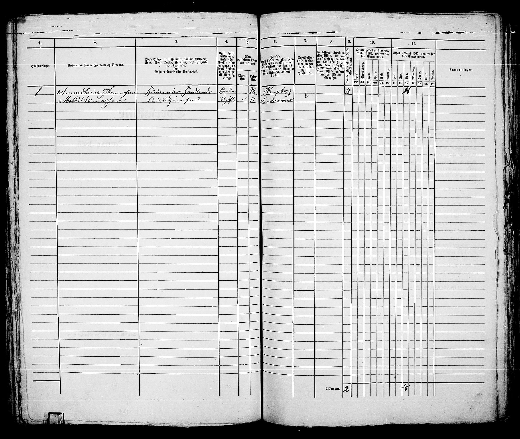 RA, 1865 census for Kongsberg/Kongsberg, 1865, p. 295