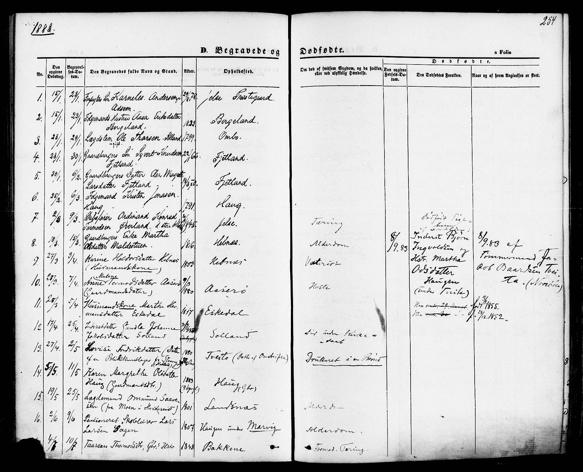 Jelsa sokneprestkontor, SAST/A-101842/01/IV: Parish register (official) no. A 8, 1867-1883, p. 254