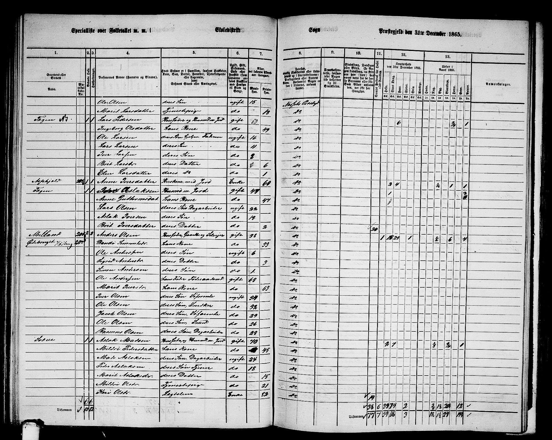 RA, 1865 census for Nesset, 1865, p. 136