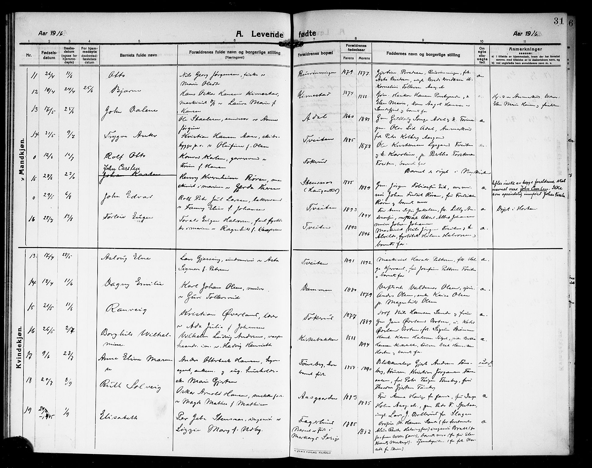 Borre kirkebøker, AV/SAKO-A-338/G/Ga/L0006: Parish register (copy) no. I 6, 1911-1919, p. 31