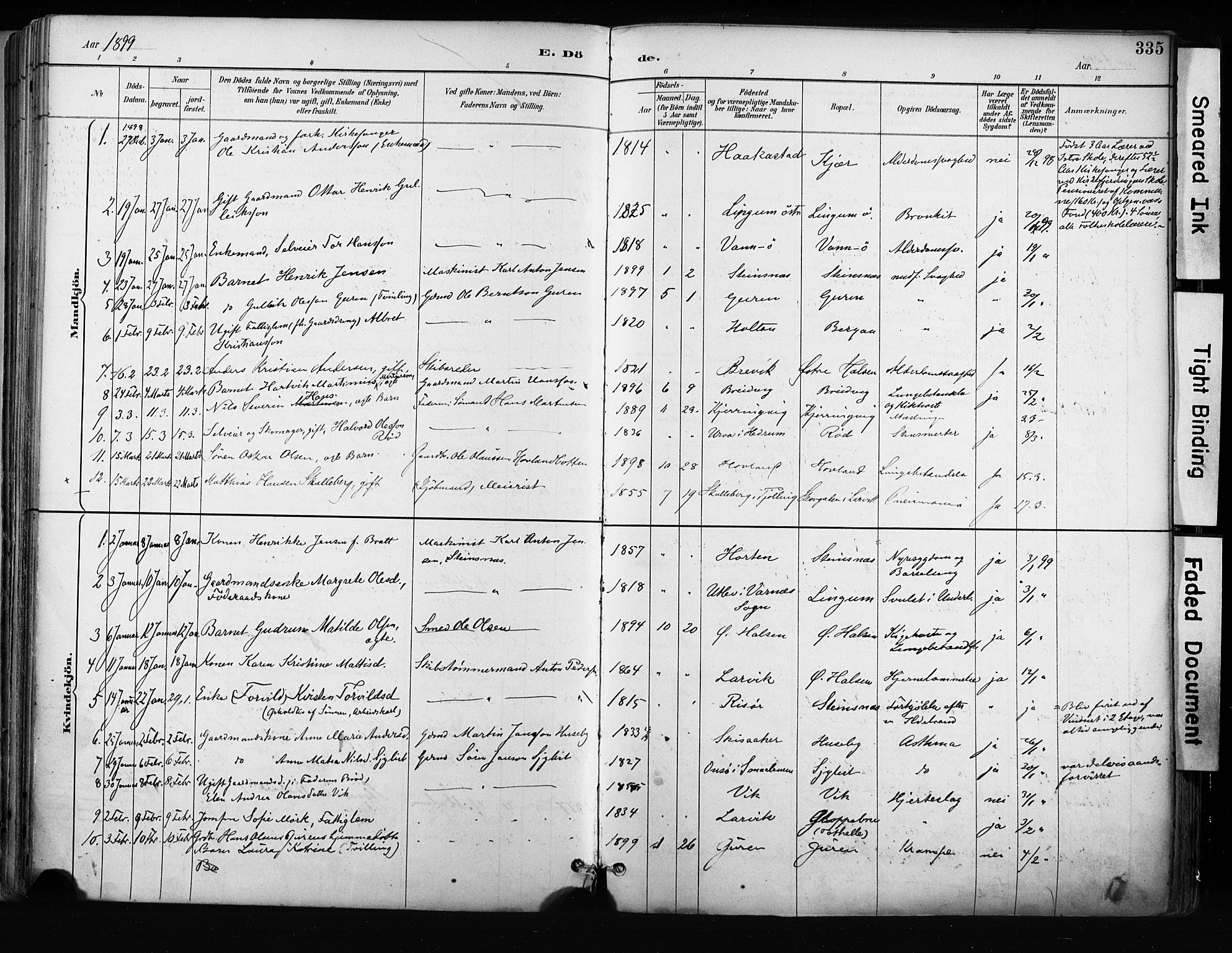 Tjølling kirkebøker, AV/SAKO-A-60/F/Fa/L0009: Parish register (official) no. 9, 1887-1905, p. 335