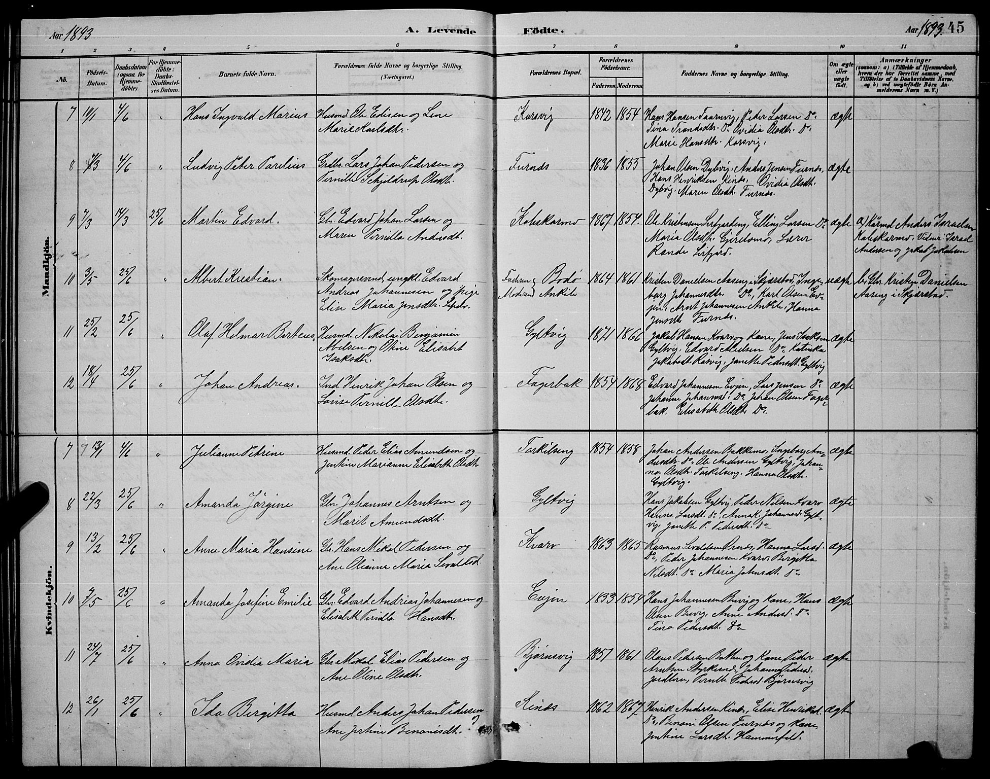 Ministerialprotokoller, klokkerbøker og fødselsregistre - Nordland, AV/SAT-A-1459/853/L0772: Parish register (official) no. 853A11, 1881-1900, p. 45