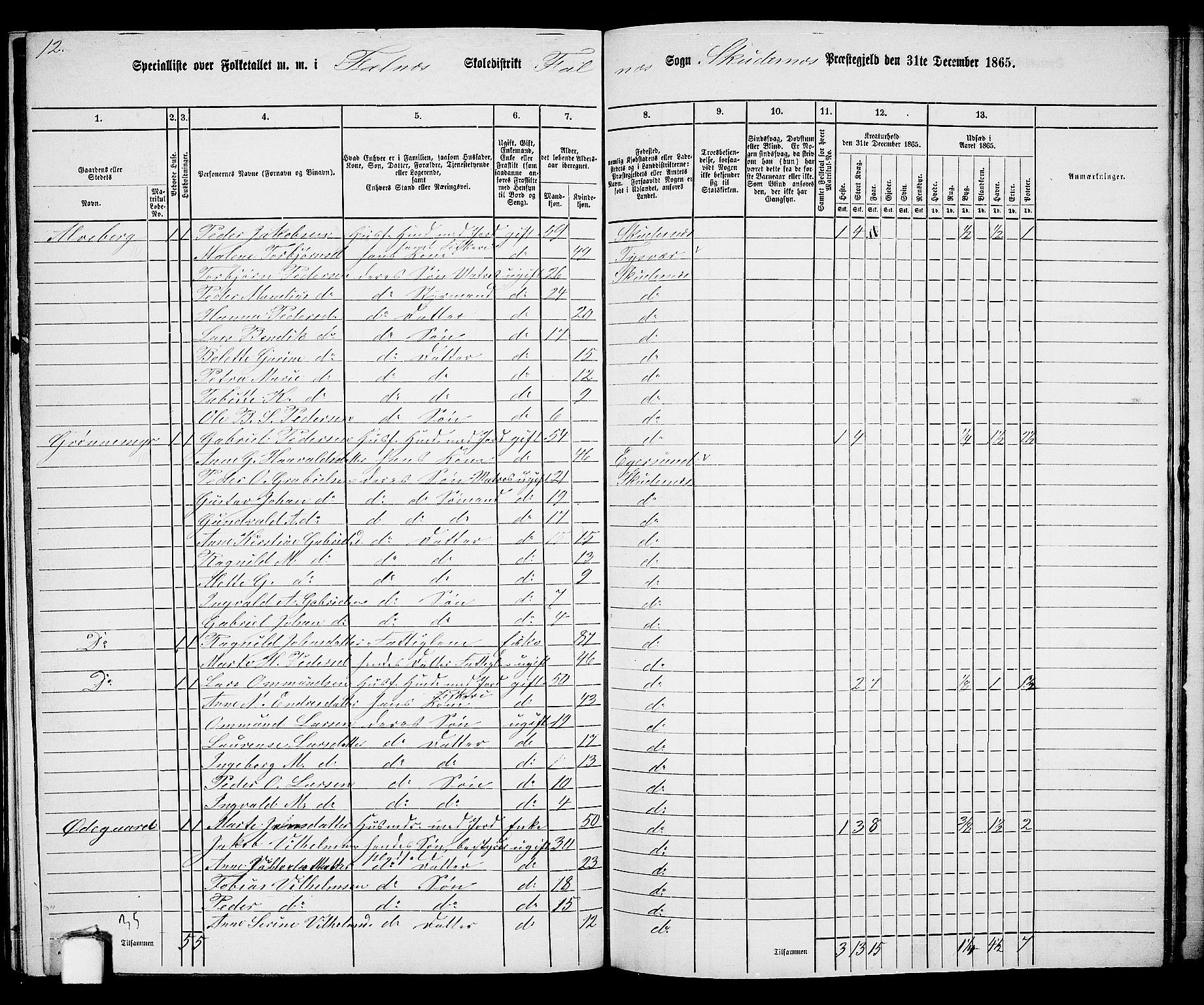 RA, 1865 census for Skudenes, 1865, p. 180