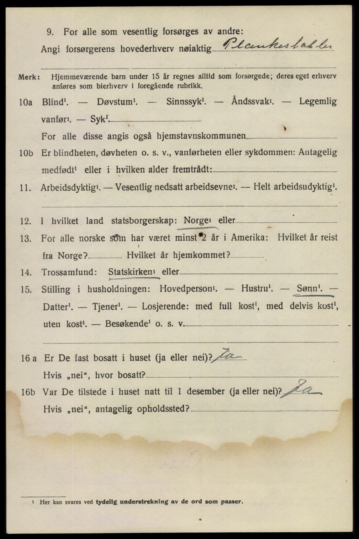 SAKO, 1920 census for Larvik, 1920, p. 25565