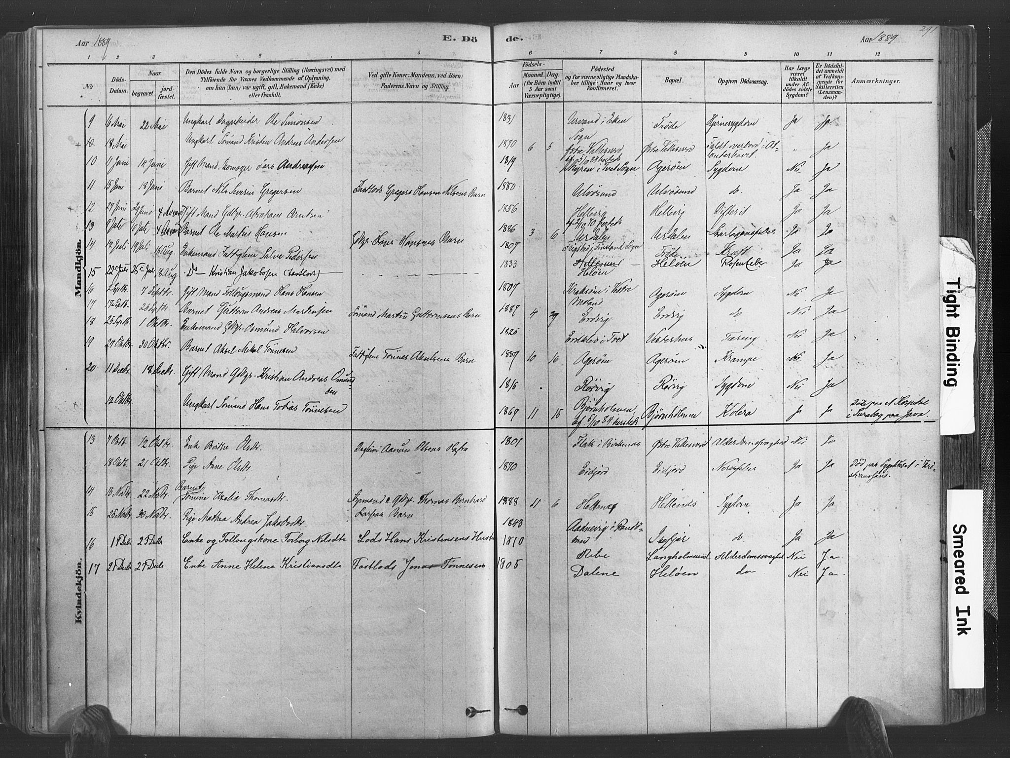 Høvåg sokneprestkontor, SAK/1111-0025/F/Fa/L0005: Parish register (official) no. A 5, 1878-1893, p. 291