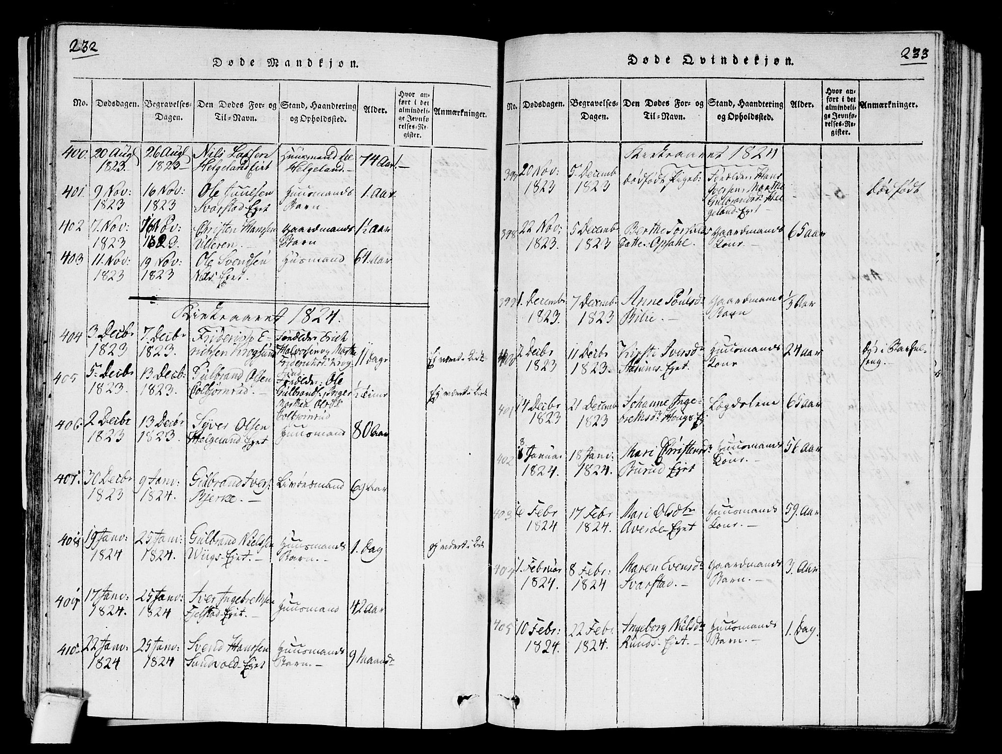 Hole kirkebøker, SAKO/A-228/F/Fa/L0004: Parish register (official) no. I 4, 1814-1833, p. 232-233