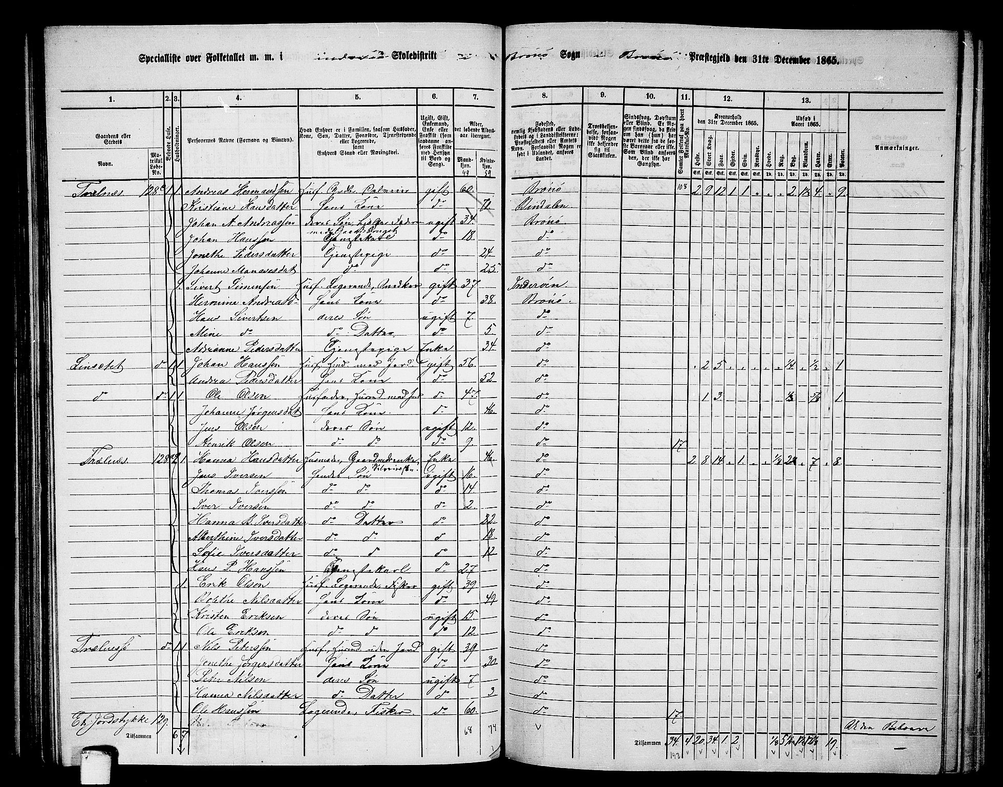 RA, 1865 census for Brønnøy, 1865, p. 100