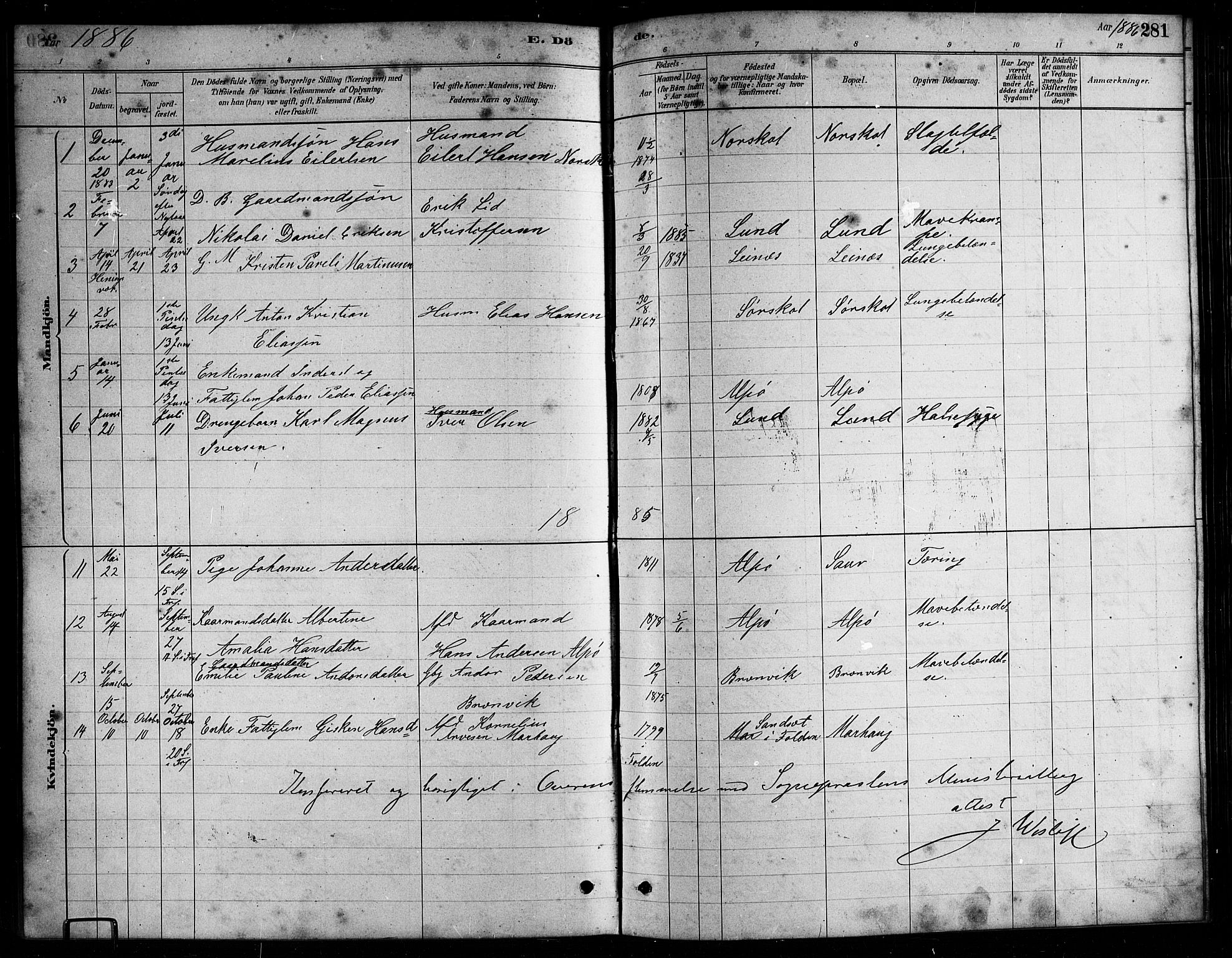 Ministerialprotokoller, klokkerbøker og fødselsregistre - Nordland, AV/SAT-A-1459/857/L0828: Parish register (copy) no. 857C03, 1879-1908, p. 281