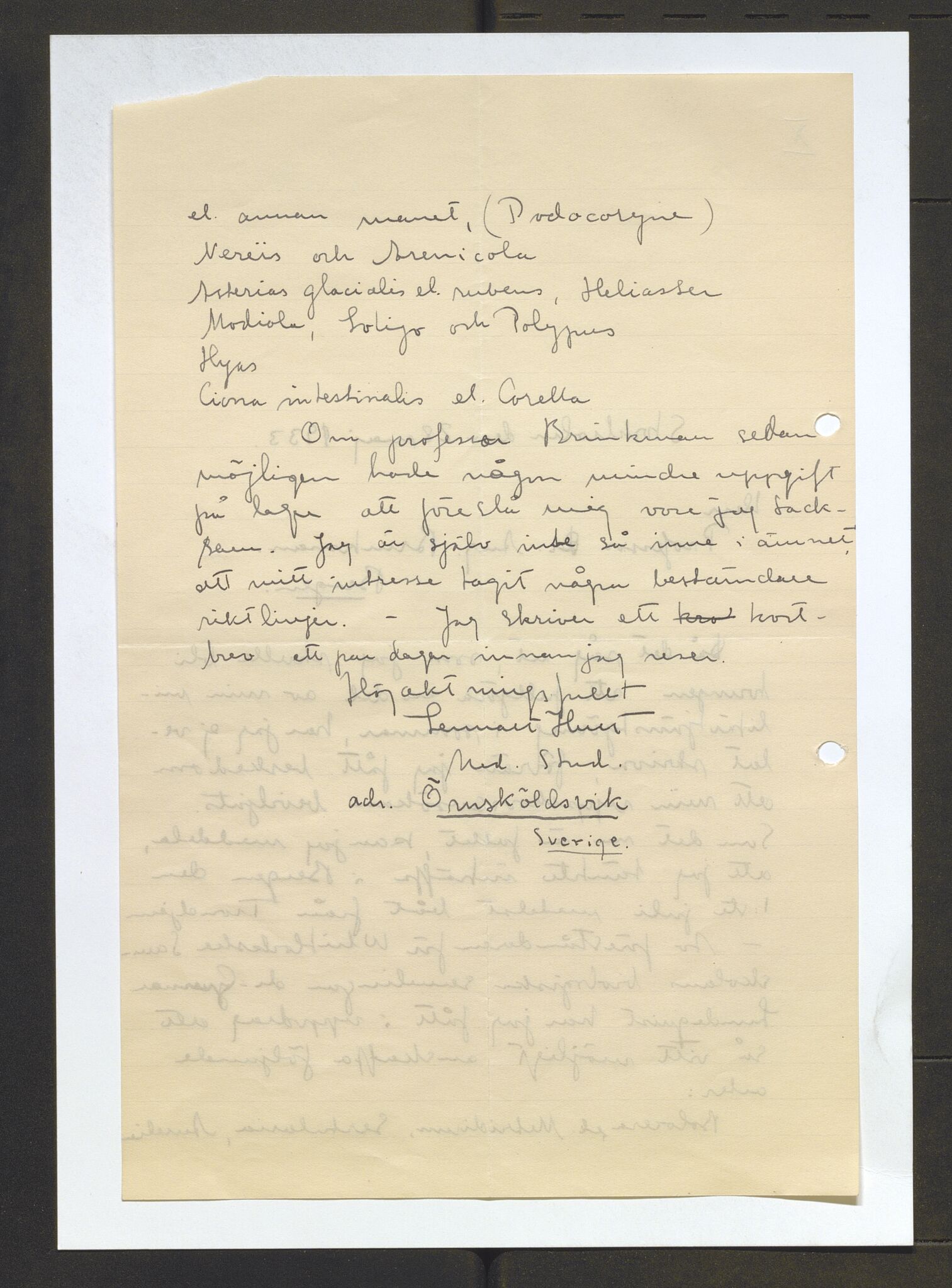 Bergens Museum, AV/SAB-A-17301/13/D/L0002: Korrespondanse , 1928-1940, p. 540