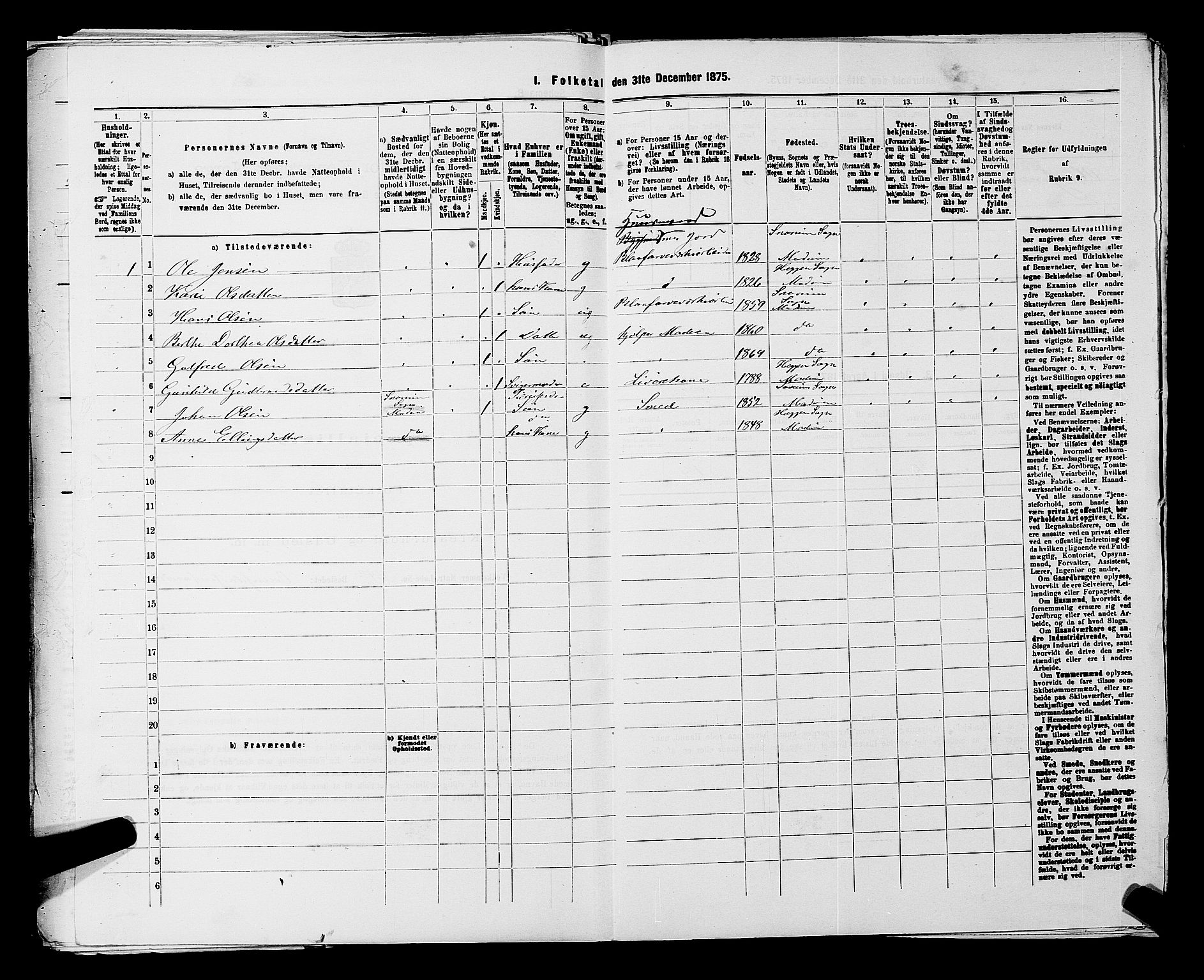 SAKO, 1875 census for 0623P Modum, 1875, p. 1029