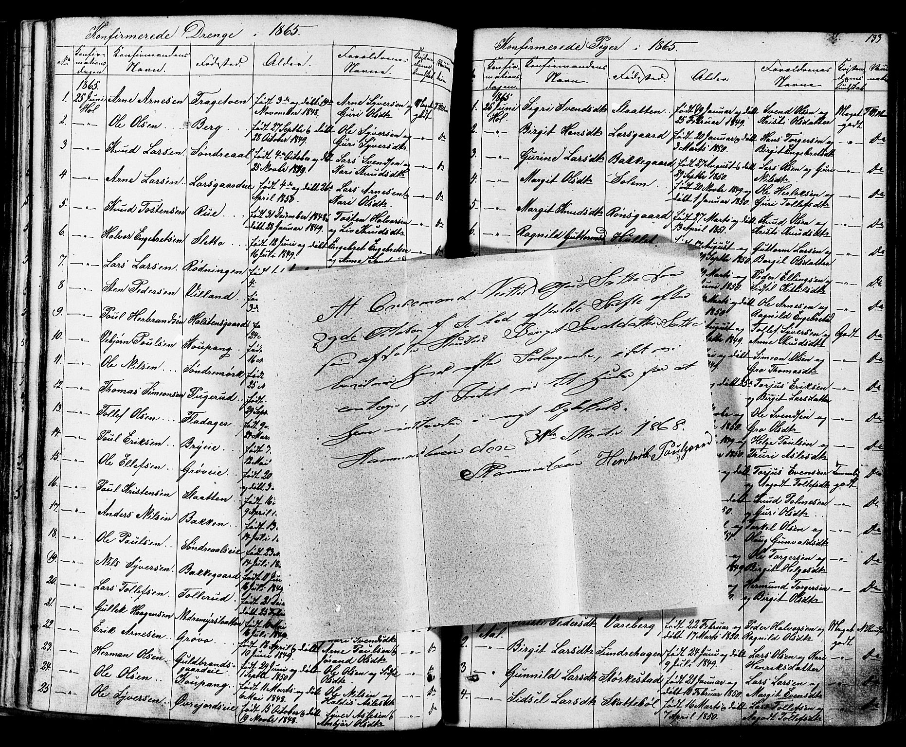 Ål kirkebøker, SAKO/A-249/F/Fa/L0007: Parish register (official) no. I 7, 1865-1881, p. 133