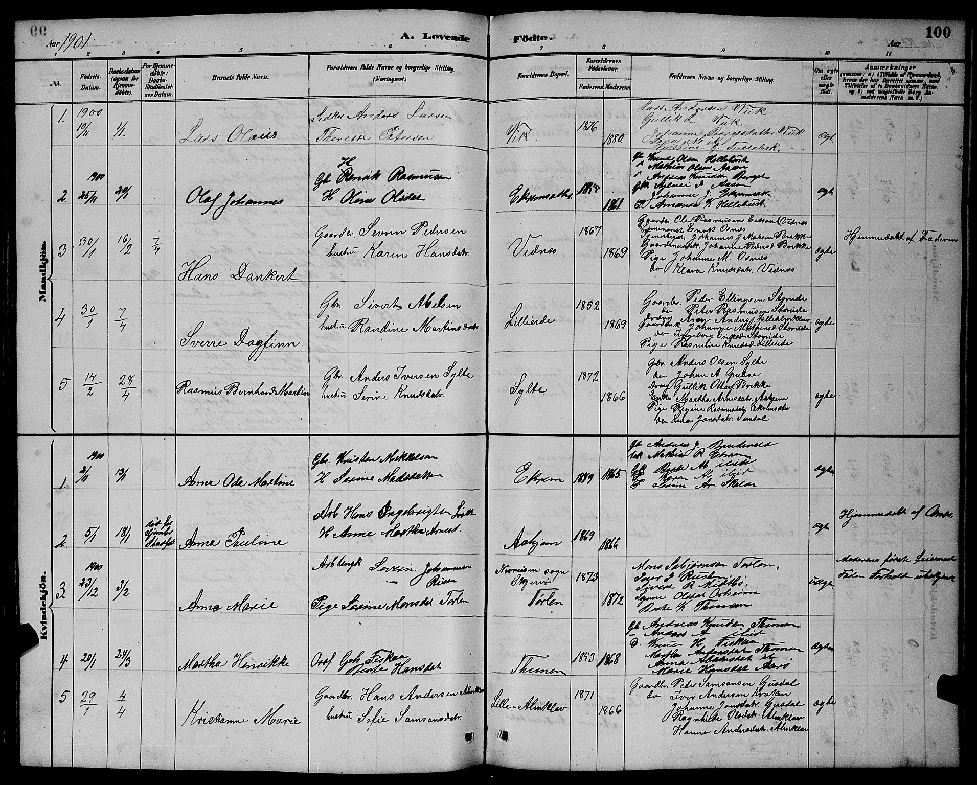 Ministerialprotokoller, klokkerbøker og fødselsregistre - Møre og Romsdal, AV/SAT-A-1454/501/L0017: Parish register (copy) no. 501C03, 1885-1901, p. 100