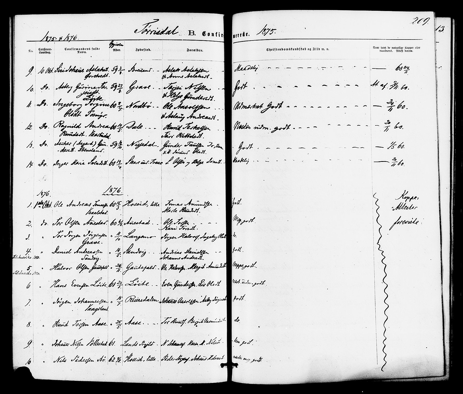 Drangedal kirkebøker, SAKO/A-258/F/Fa/L0009: Parish register (official) no. 9 /2, 1872-1884, p. 209