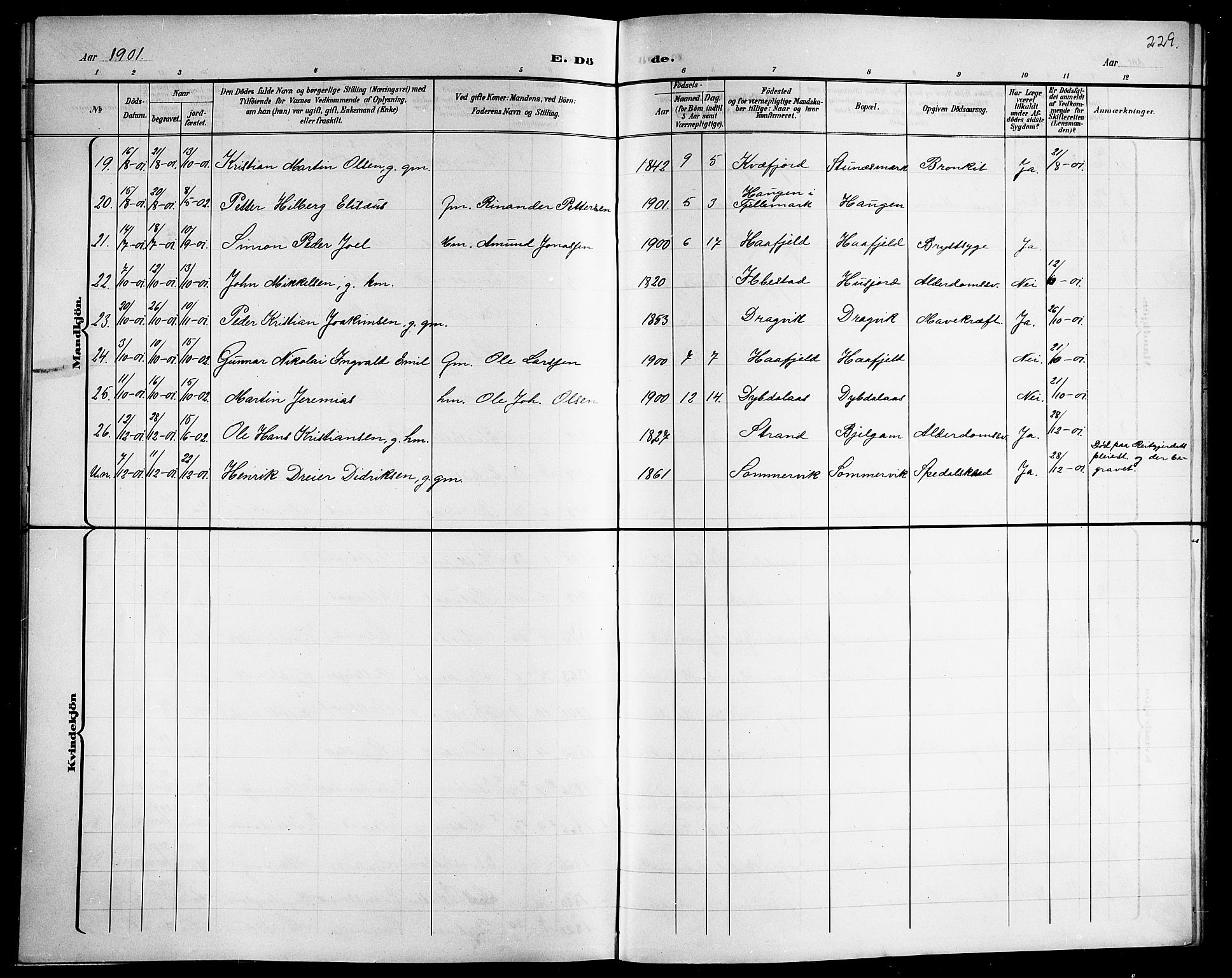 Ministerialprotokoller, klokkerbøker og fødselsregistre - Nordland, AV/SAT-A-1459/863/L0915: Parish register (copy) no. 863C05, 1898-1907, p. 229