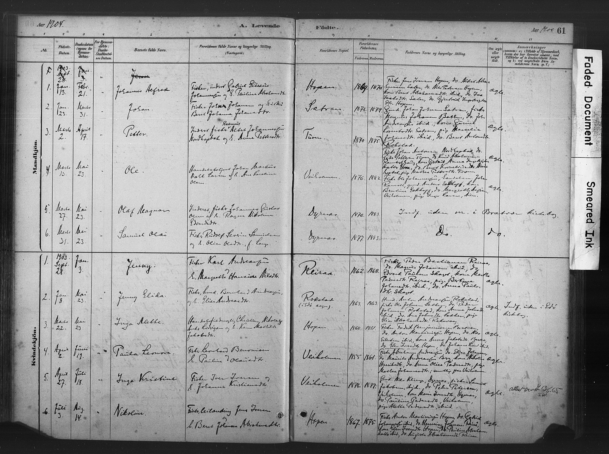 Ministerialprotokoller, klokkerbøker og fødselsregistre - Møre og Romsdal, AV/SAT-A-1454/583/L0954: Parish register (official) no. 583A01, 1880-1906, p. 61