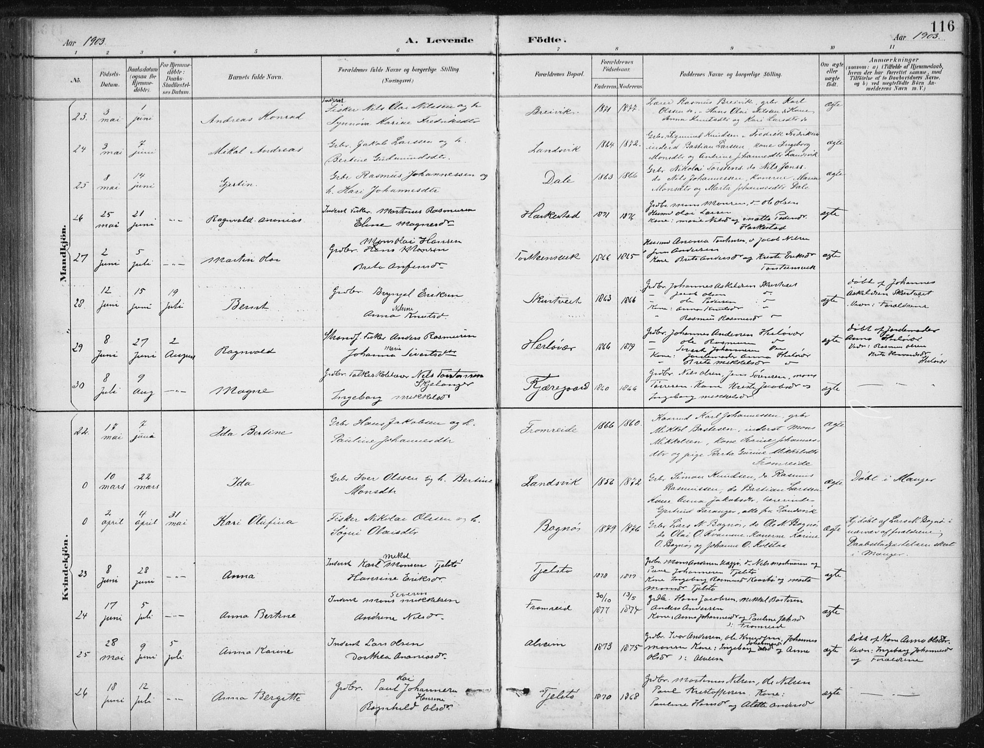 Herdla Sokneprestembete, AV/SAB-A-75701/H/Haa: Parish register (official) no. A 4, 1891-1905, p. 116