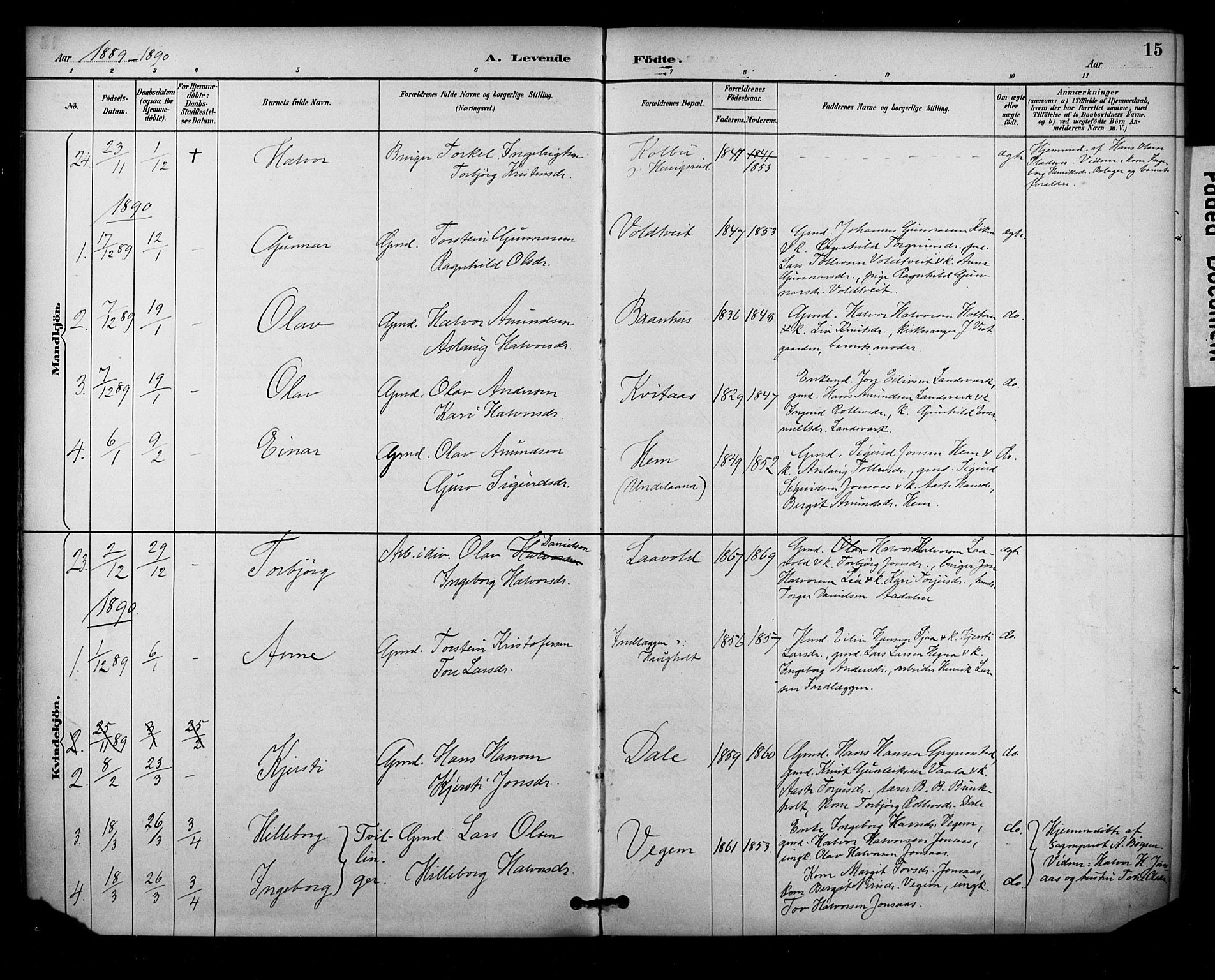 Sauherad kirkebøker, SAKO/A-298/F/Fa/L0009: Parish register (official) no. I 9, 1887-1912, p. 15