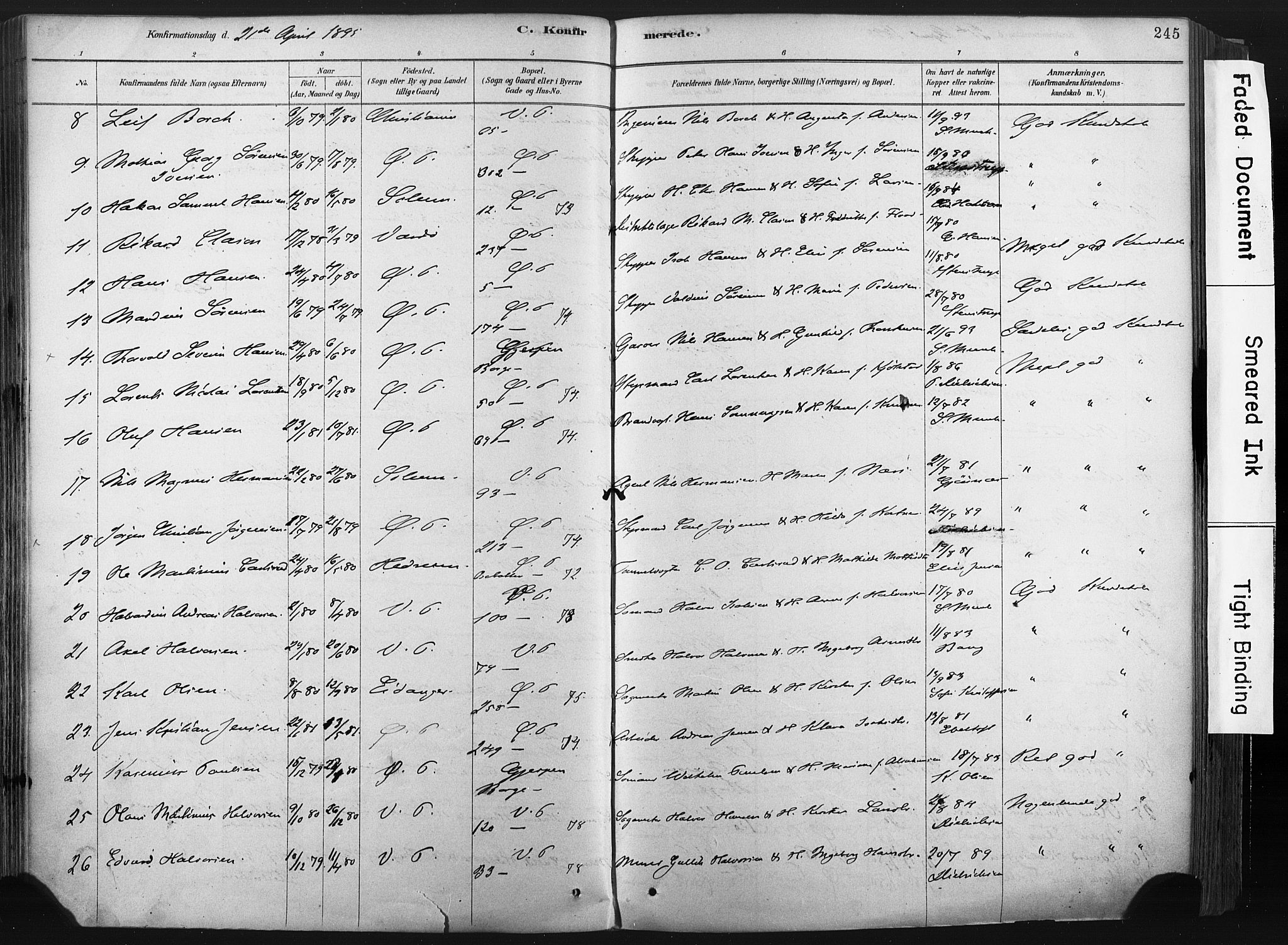 Porsgrunn kirkebøker , AV/SAKO-A-104/F/Fa/L0008: Parish register (official) no. 8, 1878-1895, p. 245