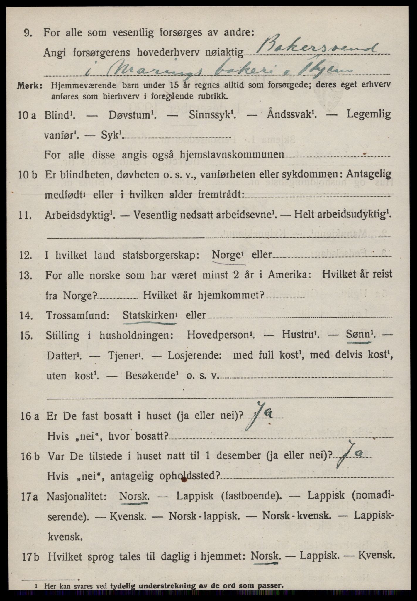 SAT, 1920 census for Strinda, 1920, p. 17583