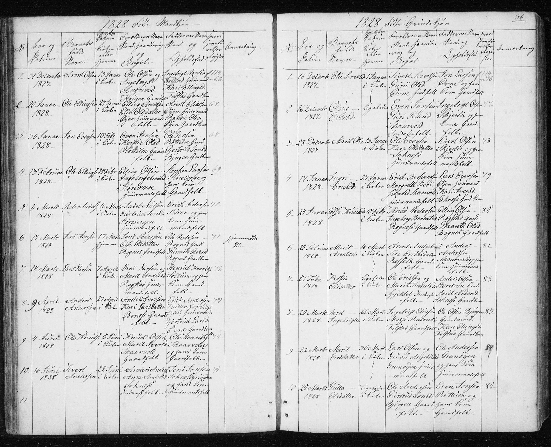 Ministerialprotokoller, klokkerbøker og fødselsregistre - Sør-Trøndelag, SAT/A-1456/687/L1017: Parish register (copy) no. 687C01, 1816-1837, p. 36