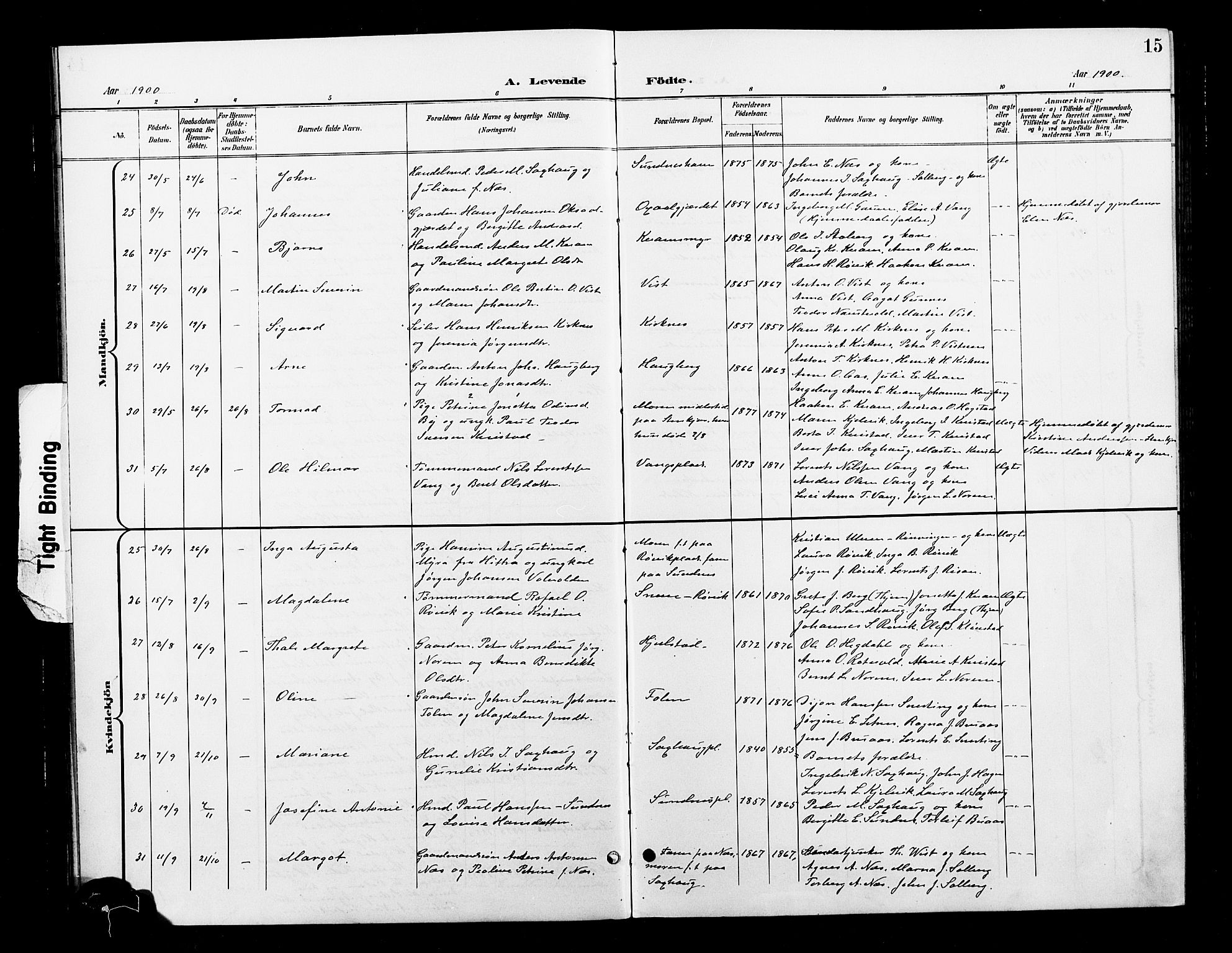 Ministerialprotokoller, klokkerbøker og fødselsregistre - Nord-Trøndelag, AV/SAT-A-1458/730/L0302: Parish register (copy) no. 730C05, 1898-1924, p. 15