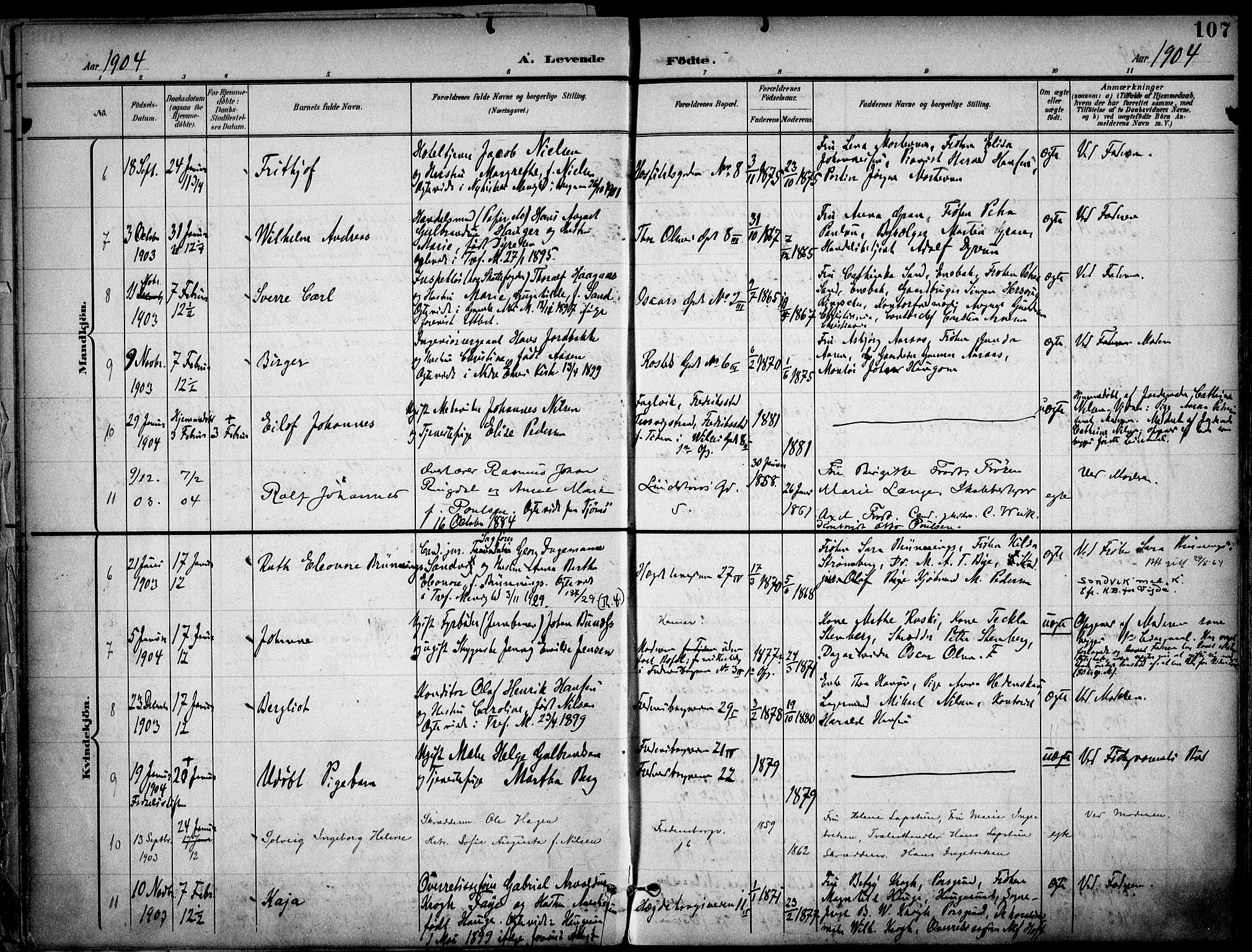 Trefoldighet prestekontor Kirkebøker, AV/SAO-A-10882/F/Fa/L0007: Parish register (official) no. I 7, 1900-1914, p. 107