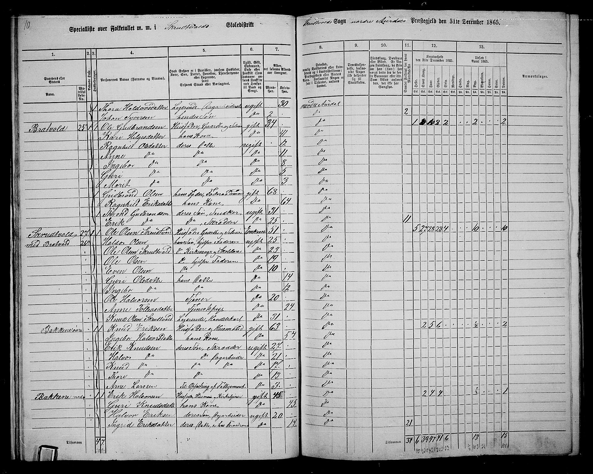 RA, 1865 census for Nord-Aurdal, 1865, p. 22