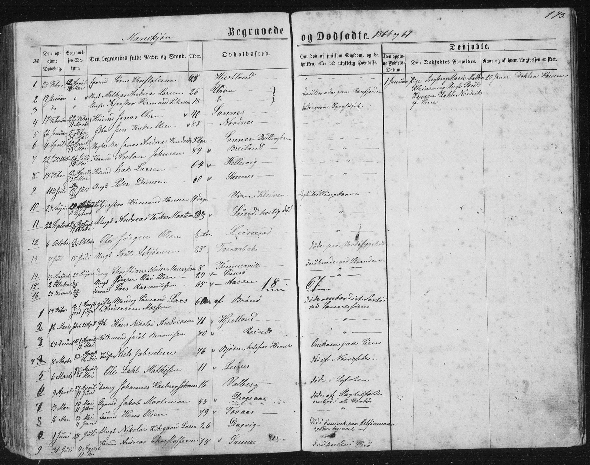 Ministerialprotokoller, klokkerbøker og fødselsregistre - Nordland, AV/SAT-A-1459/831/L0476: Parish register (copy) no. 831C03, 1866-1877, p. 173