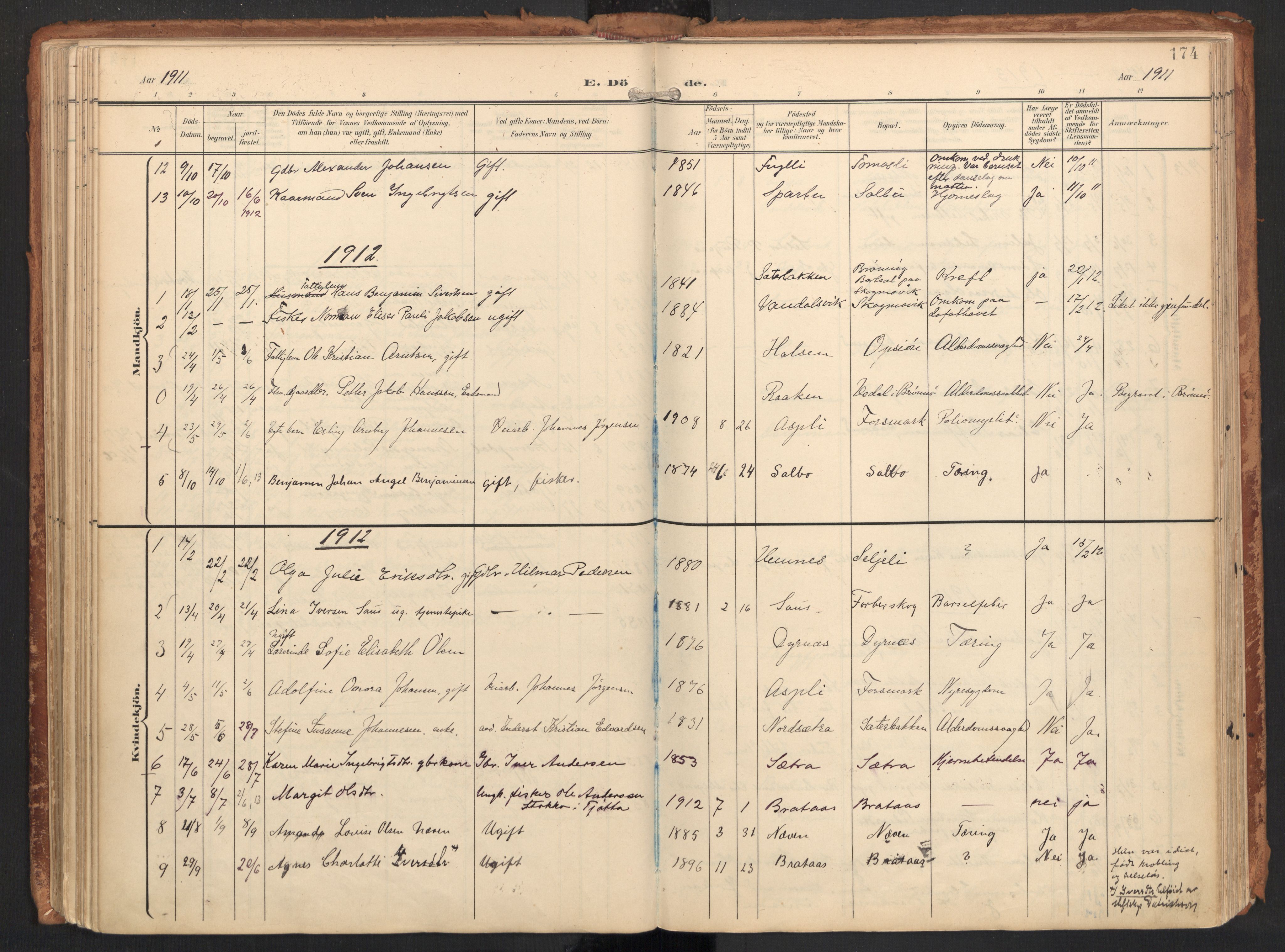 Ministerialprotokoller, klokkerbøker og fødselsregistre - Nordland, SAT/A-1459/814/L0227: Parish register (official) no. 814A08, 1899-1920, p. 174