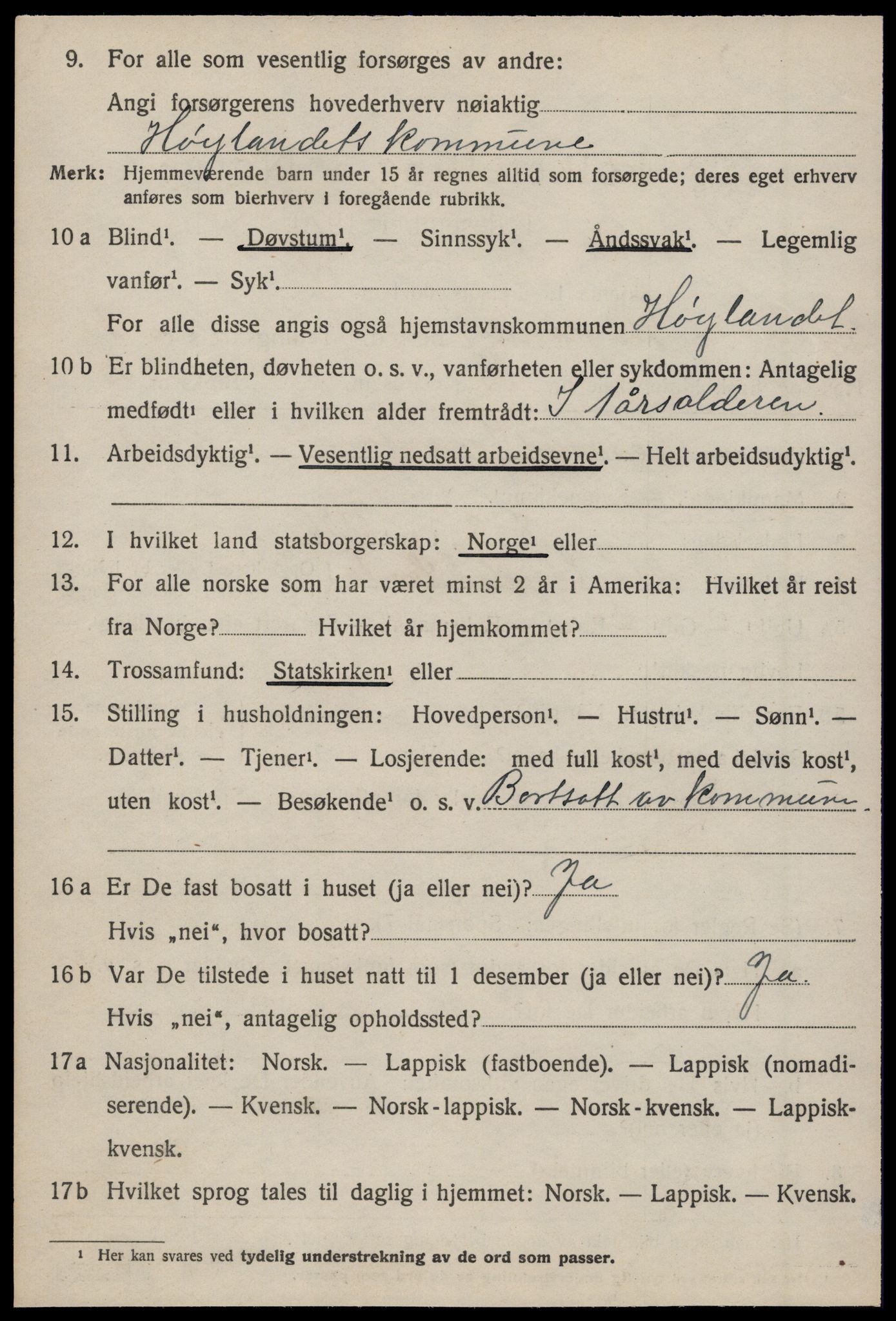 SAT, 1920 census for Hølonda, 1920, p. 536