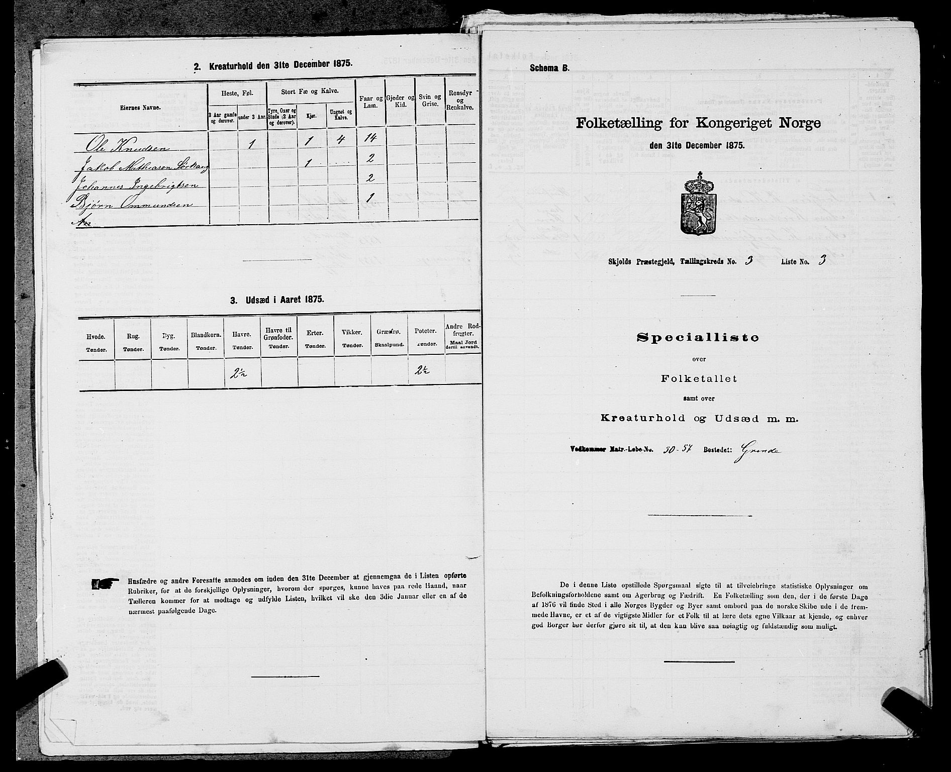 SAST, 1875 census for 1154P Skjold, 1875, p. 222