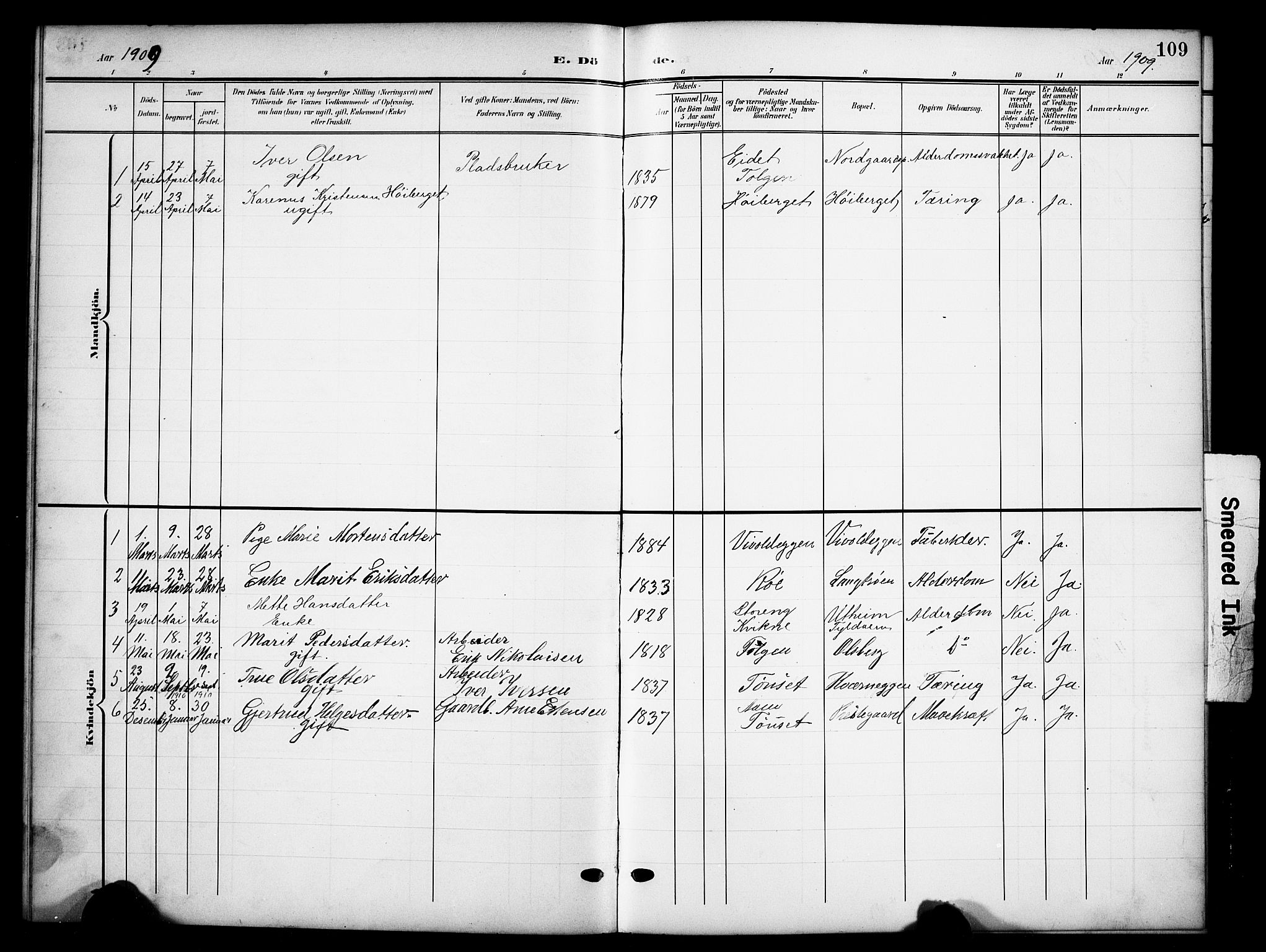 Tynset prestekontor, SAH/PREST-058/H/Ha/Hab/L0010: Parish register (copy) no. 10, 1902-1929, p. 109