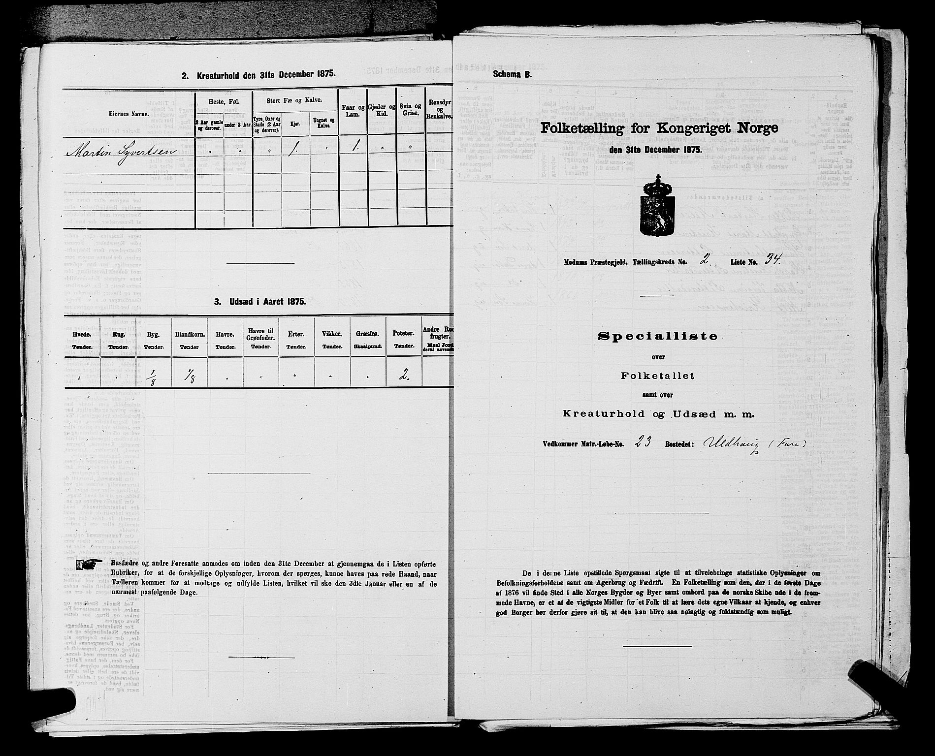 SAKO, 1875 census for 0623P Modum, 1875, p. 300