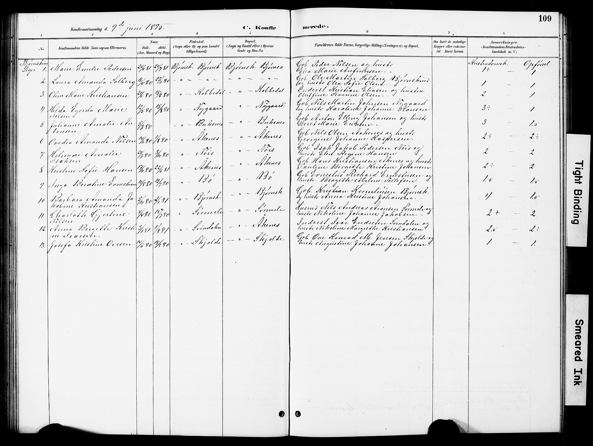 Ministerialprotokoller, klokkerbøker og fødselsregistre - Nordland, AV/SAT-A-1459/897/L1413: Parish register (copy) no. 897C03, 1887-1903, p. 109