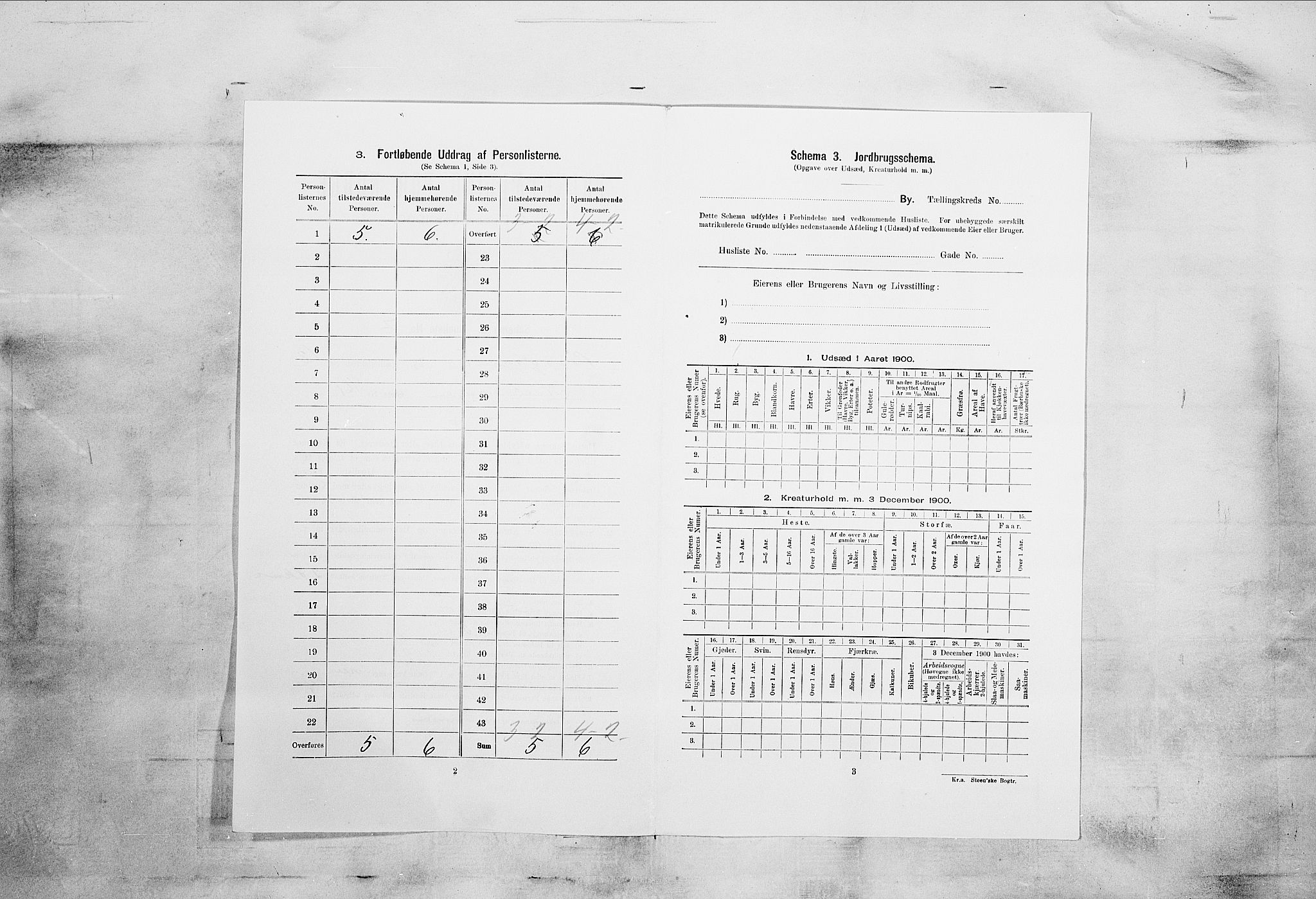 SAKO, 1900 census for Porsgrunn, 1900, p. 2379