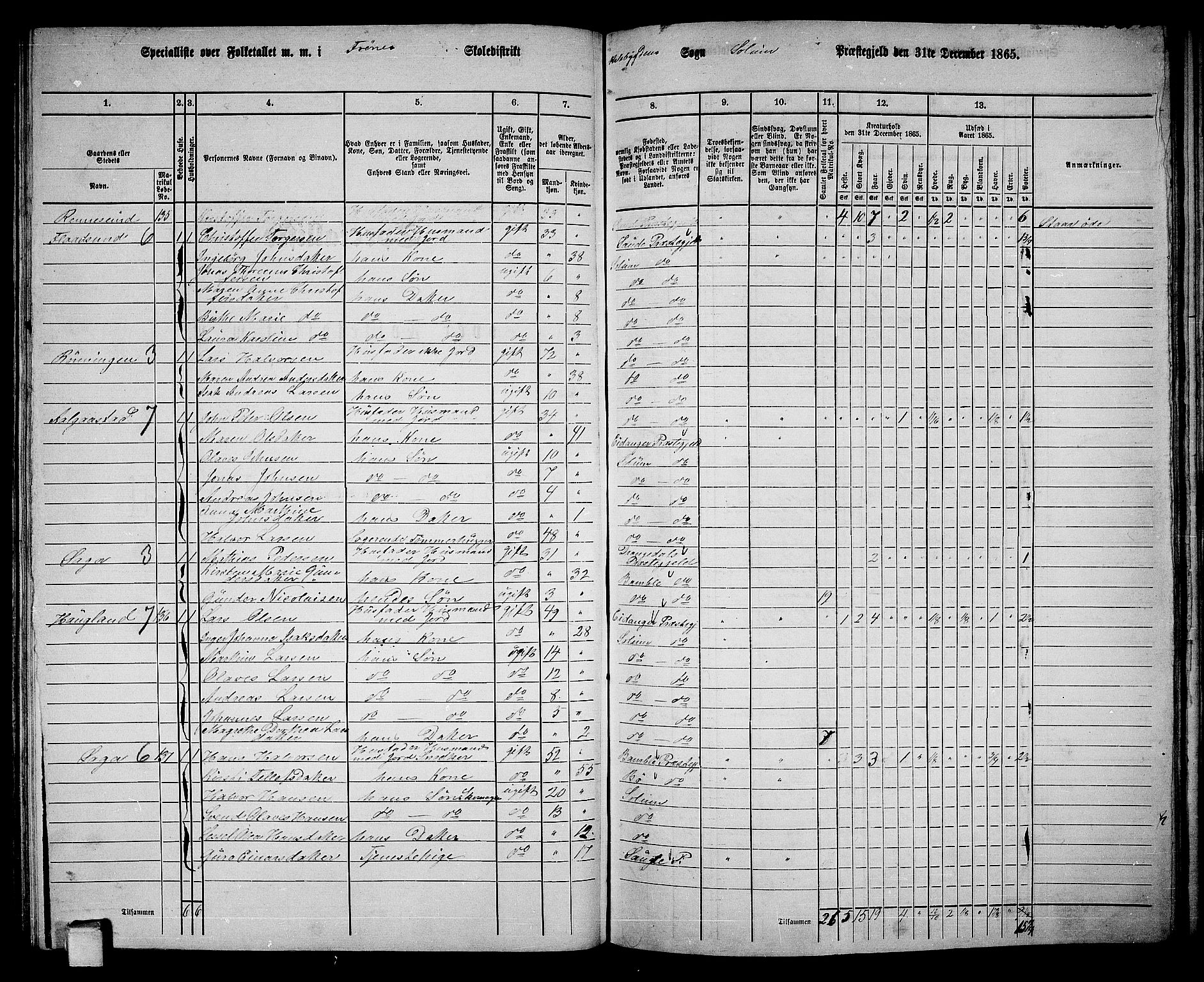 RA, 1865 census for Solum, 1865, p. 137