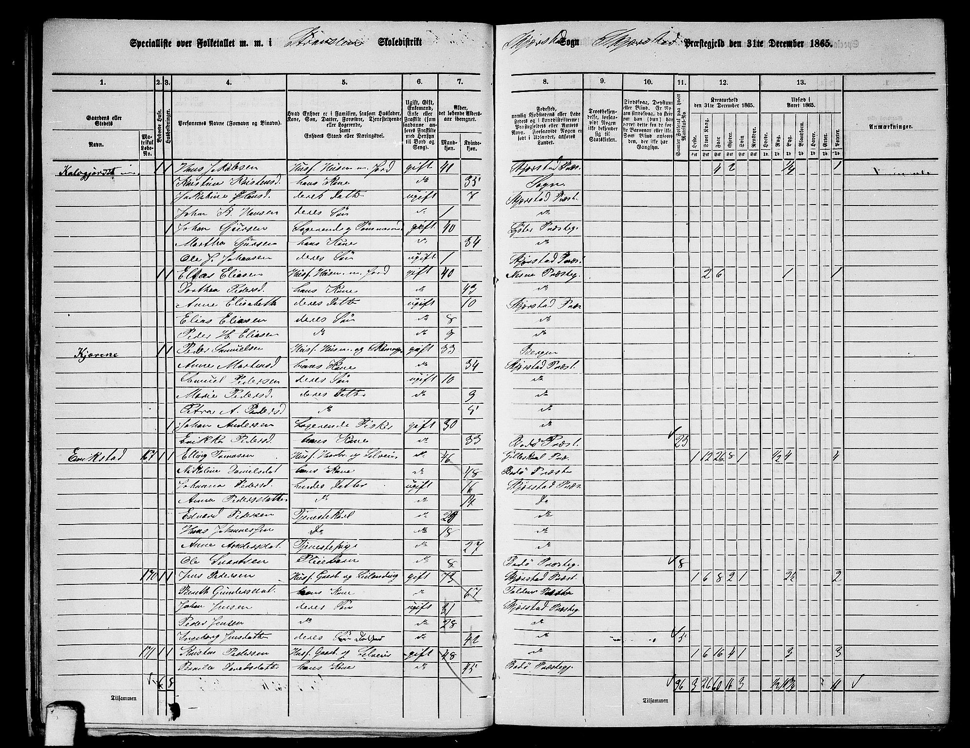 RA, 1865 census for Skjerstad, 1865, p. 30