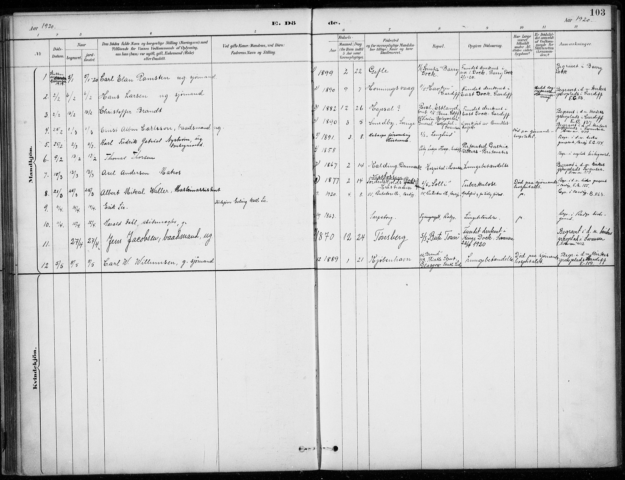 Den norske sjømannsmisjon i utlandet/Bristolhavnene(Cardiff-Swansea), SAB/SAB/PA-0102/H/Ha/Haa/L0002: Parish register (official) no. A 2, 1887-1932, p. 103