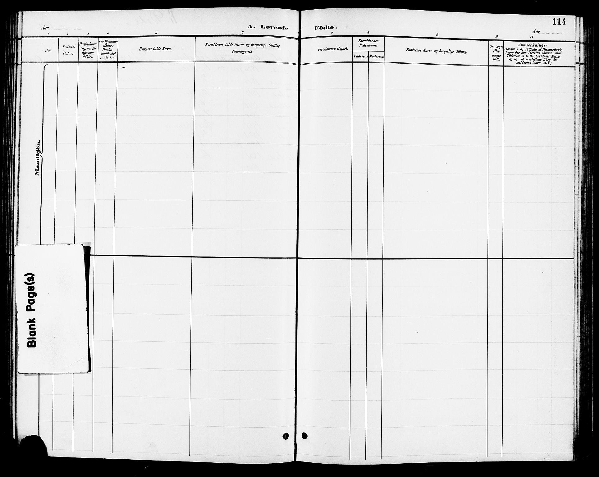 Søgne sokneprestkontor, SAK/1111-0037/F/Fb/Fbb/L0006: Parish register (copy) no. B 6, 1892-1911, p. 114